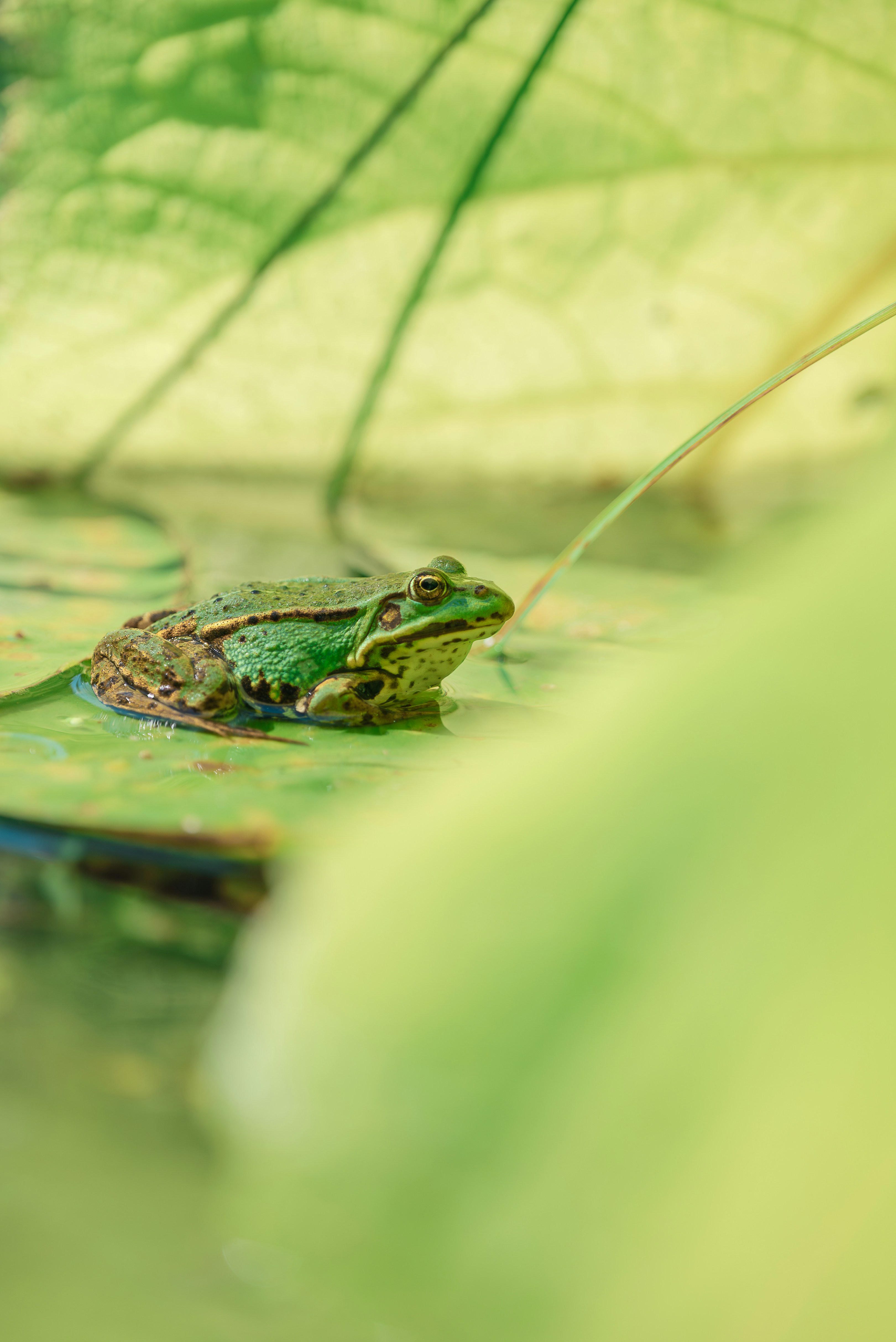 Photo by jetztabertempo