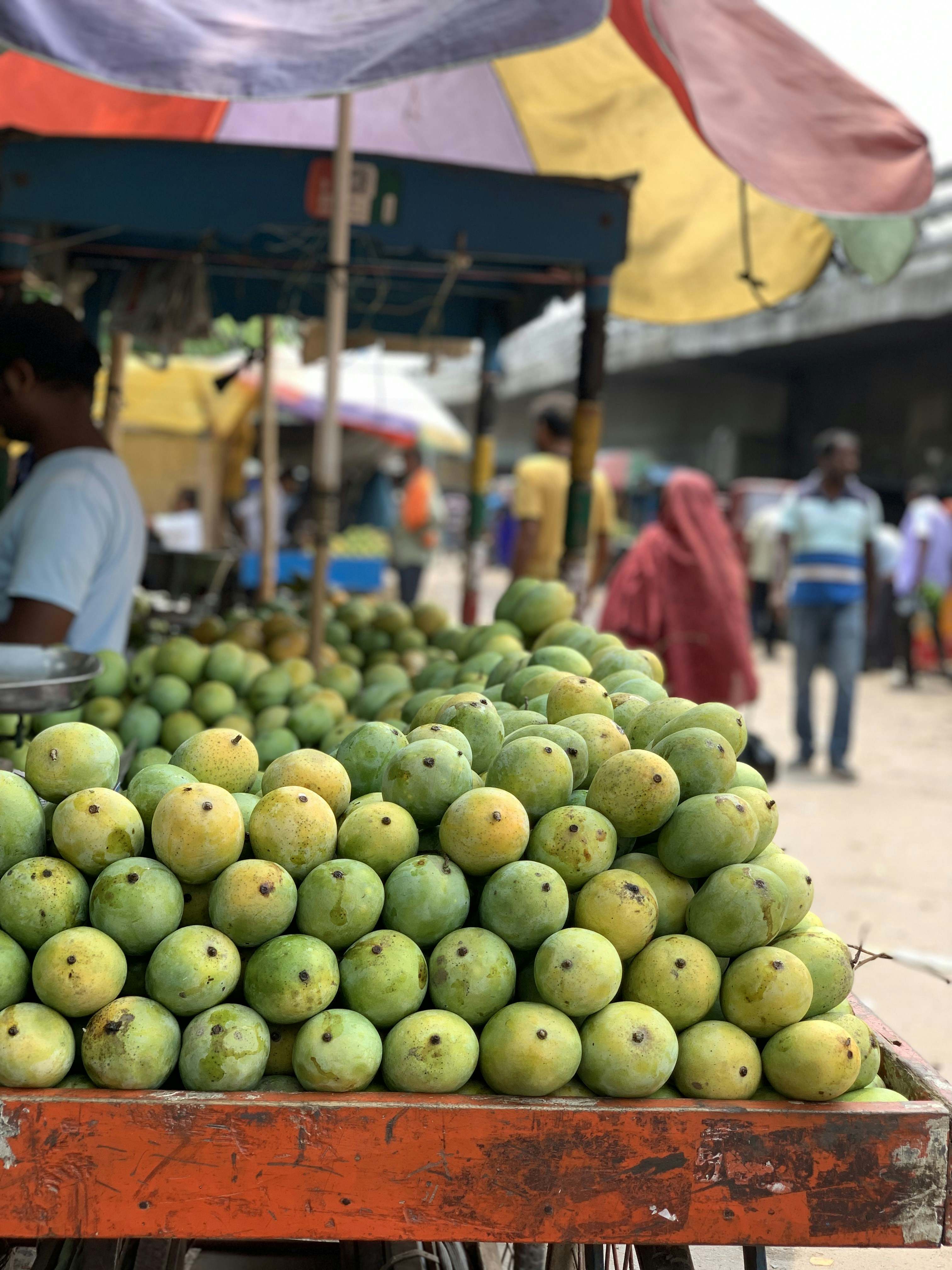 Photo by drsarwarali