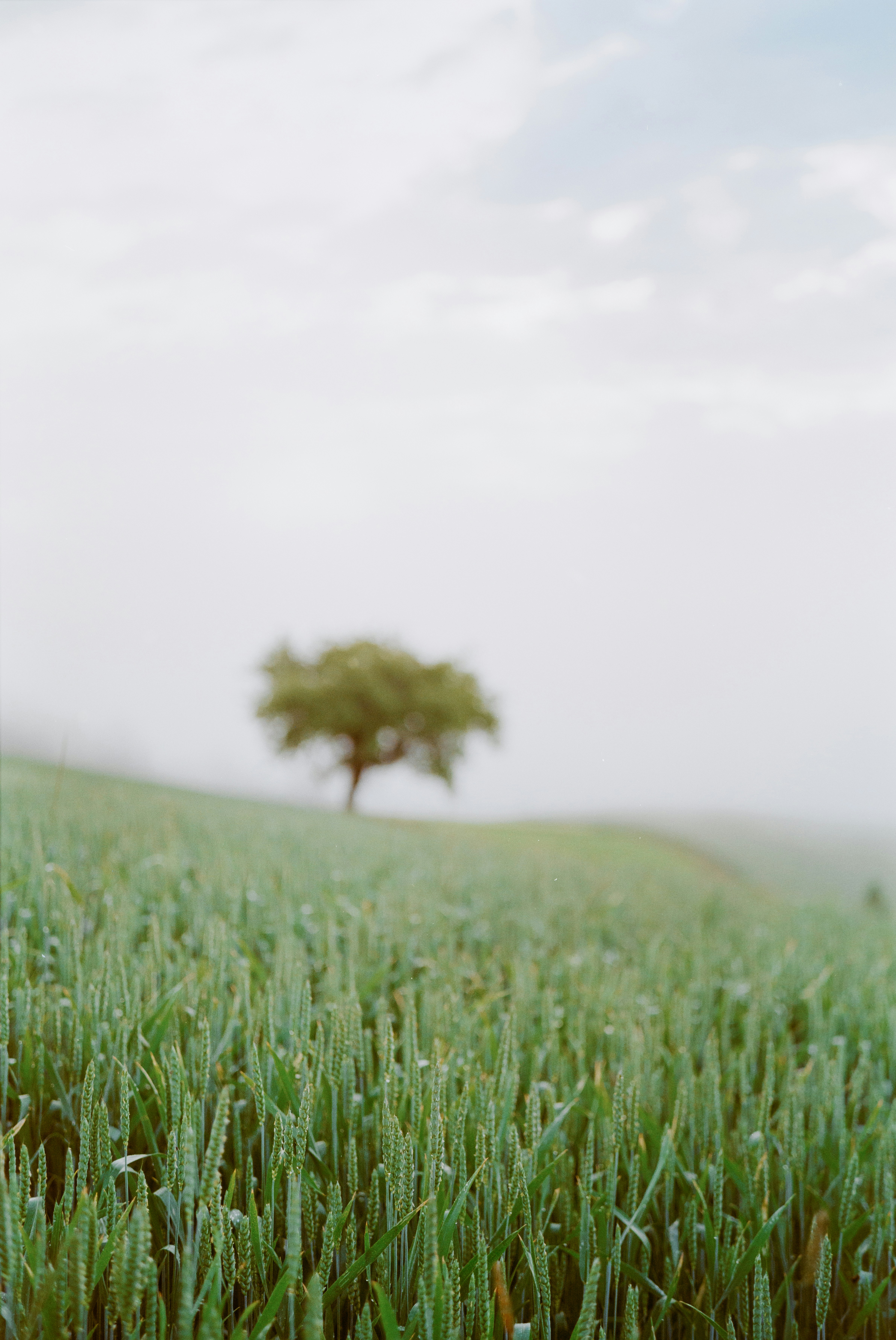 Photo by ben_hagemann