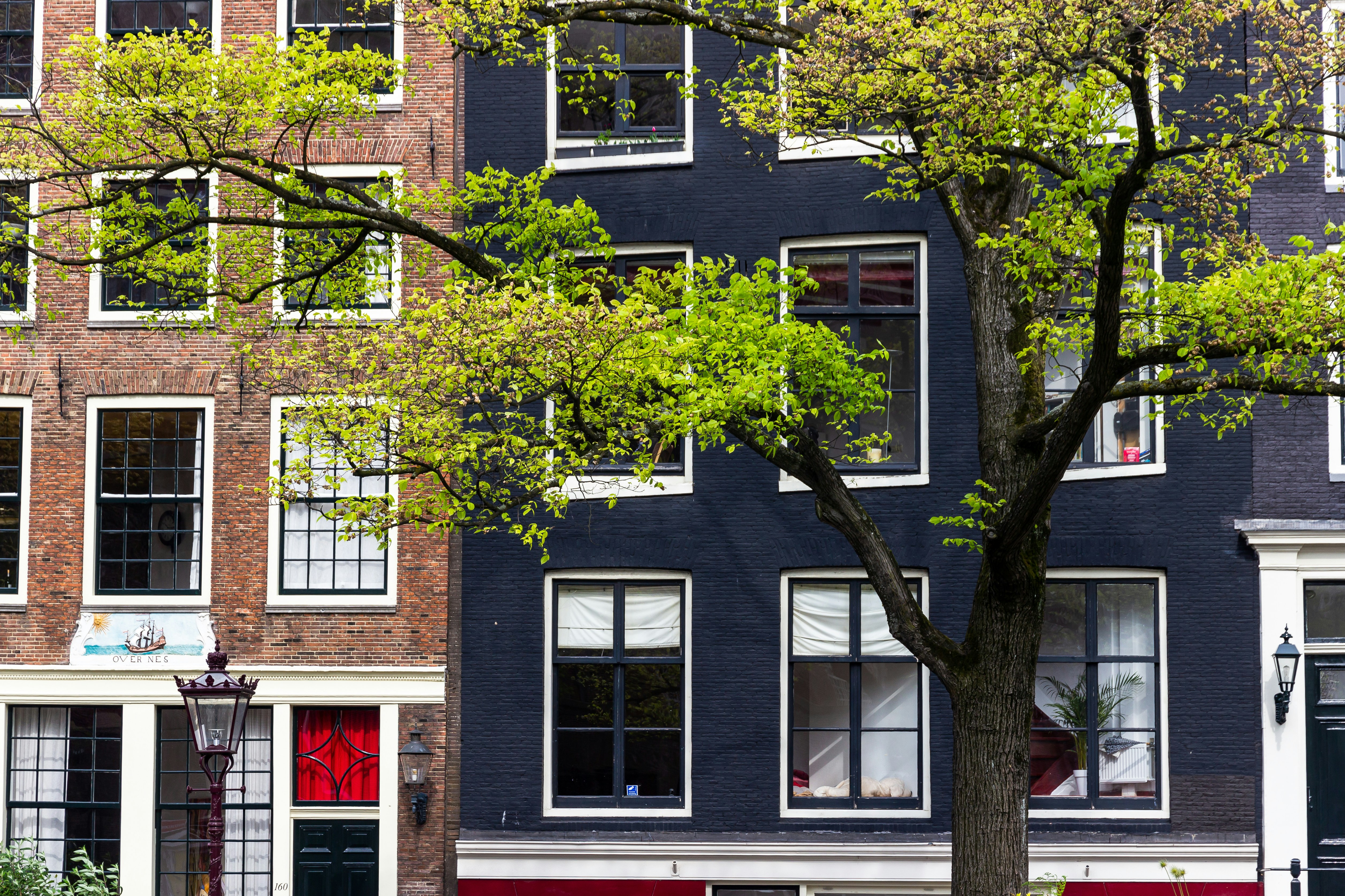 Photo by solomonikvik