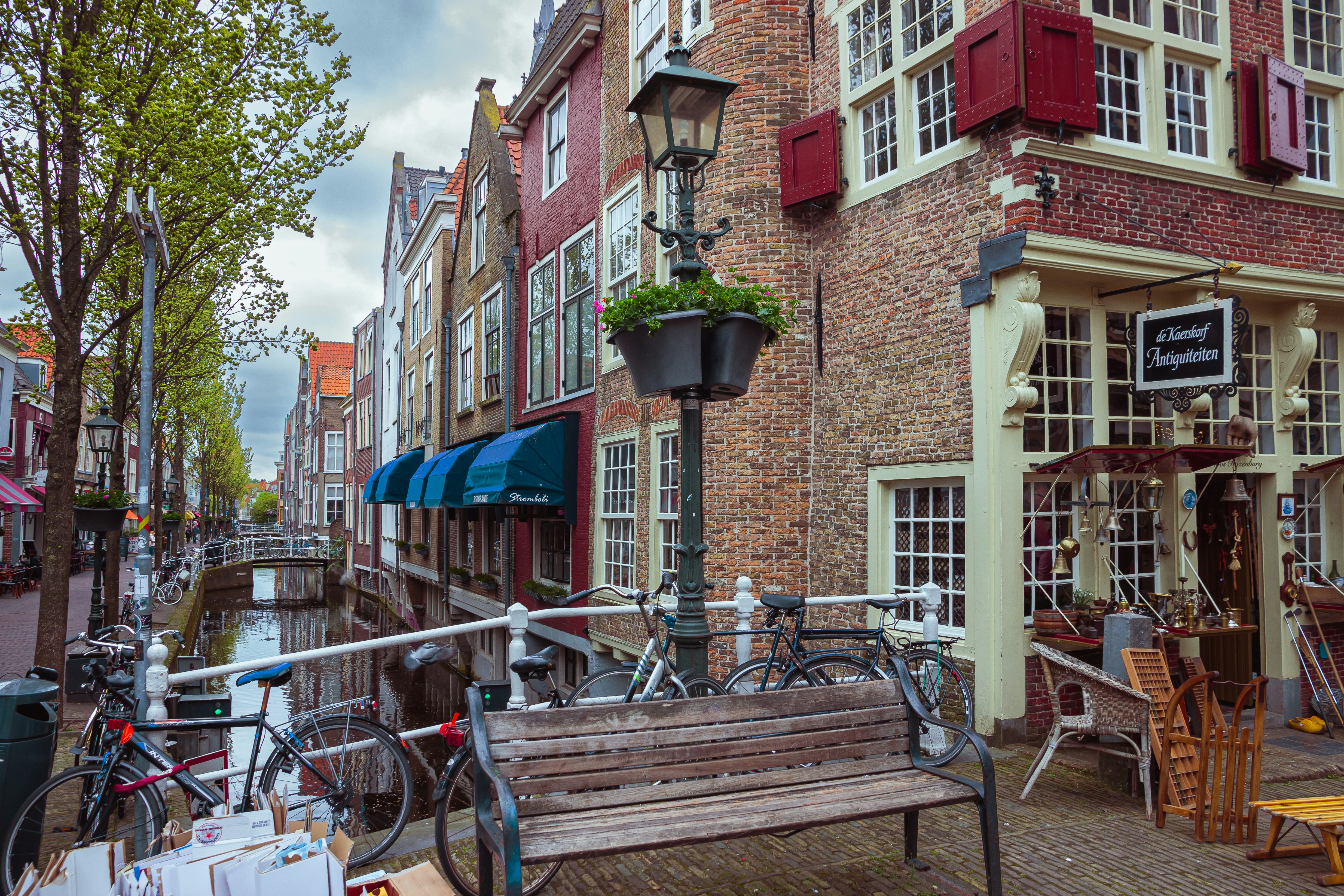 Photo by solomonikvik