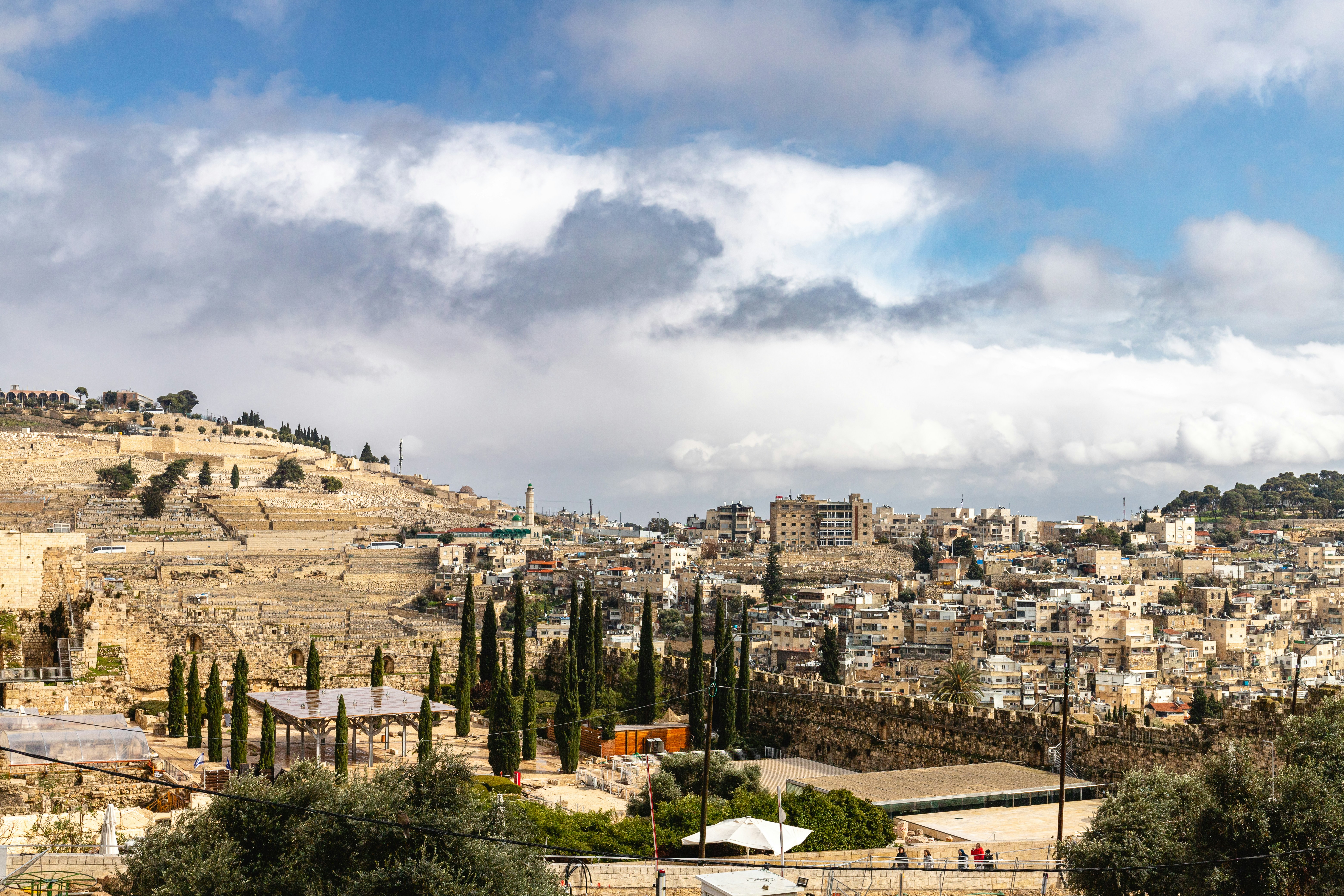 A view of a city from a hill