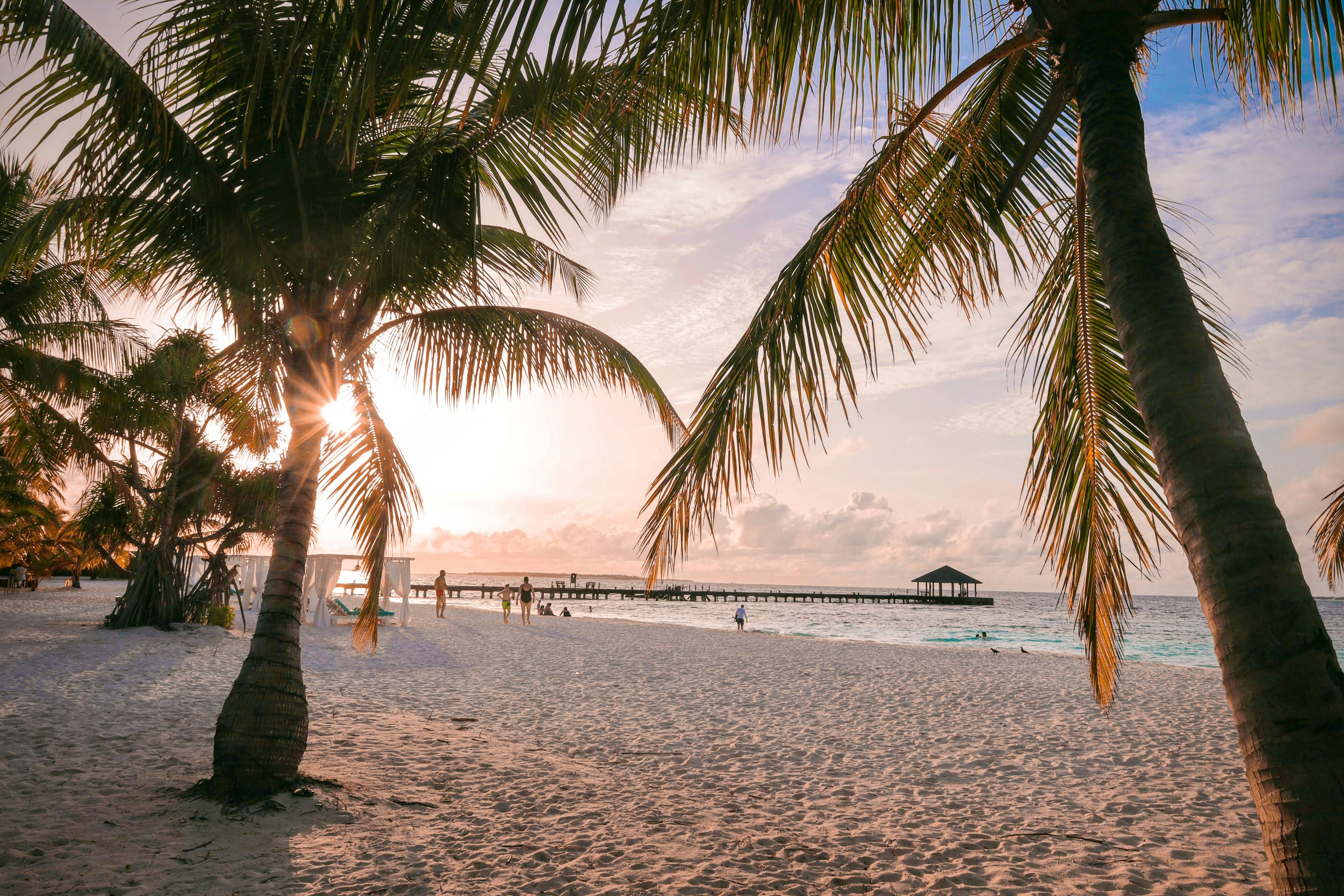 Photo by narantsvirag