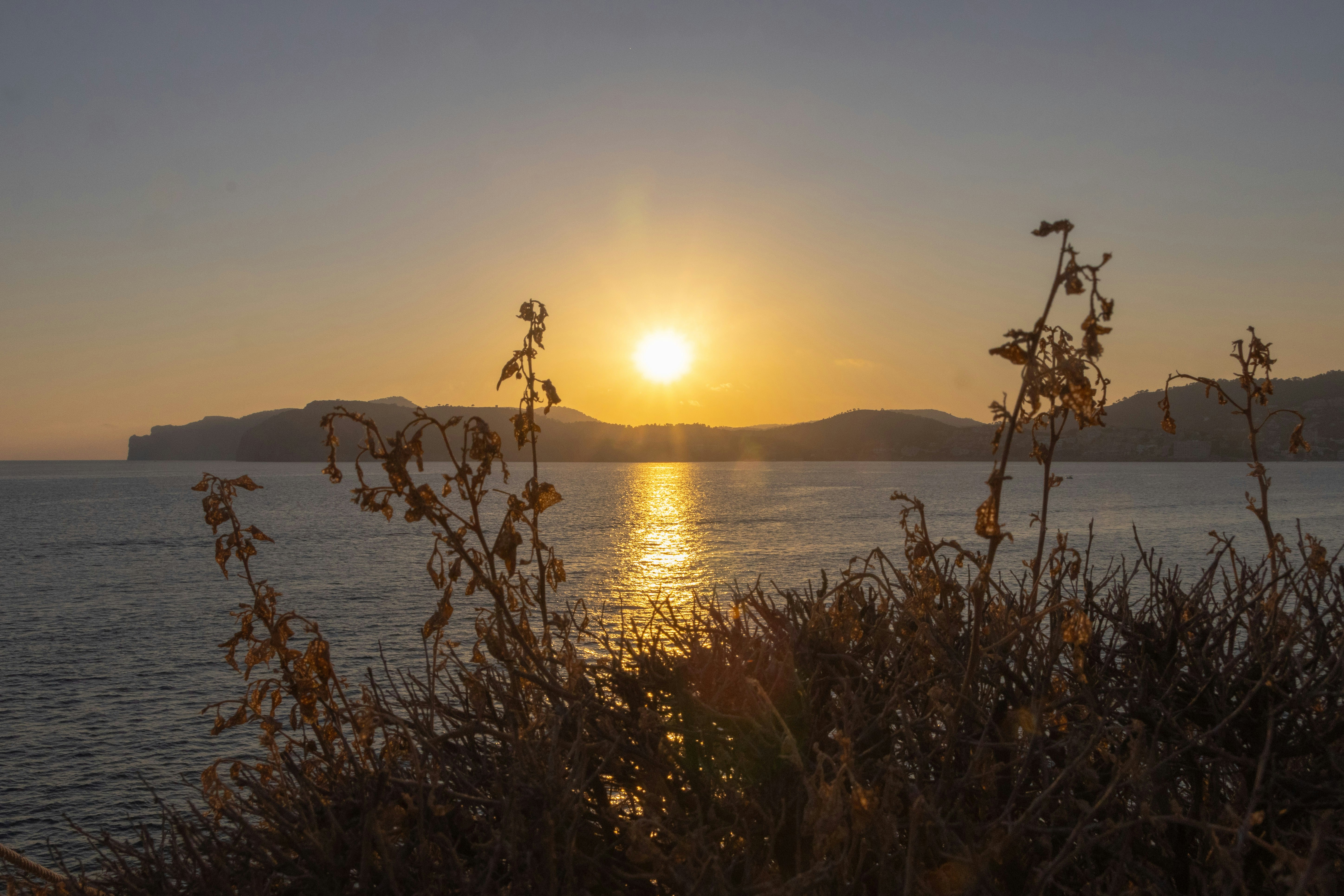 Photo by kennyvrphotography