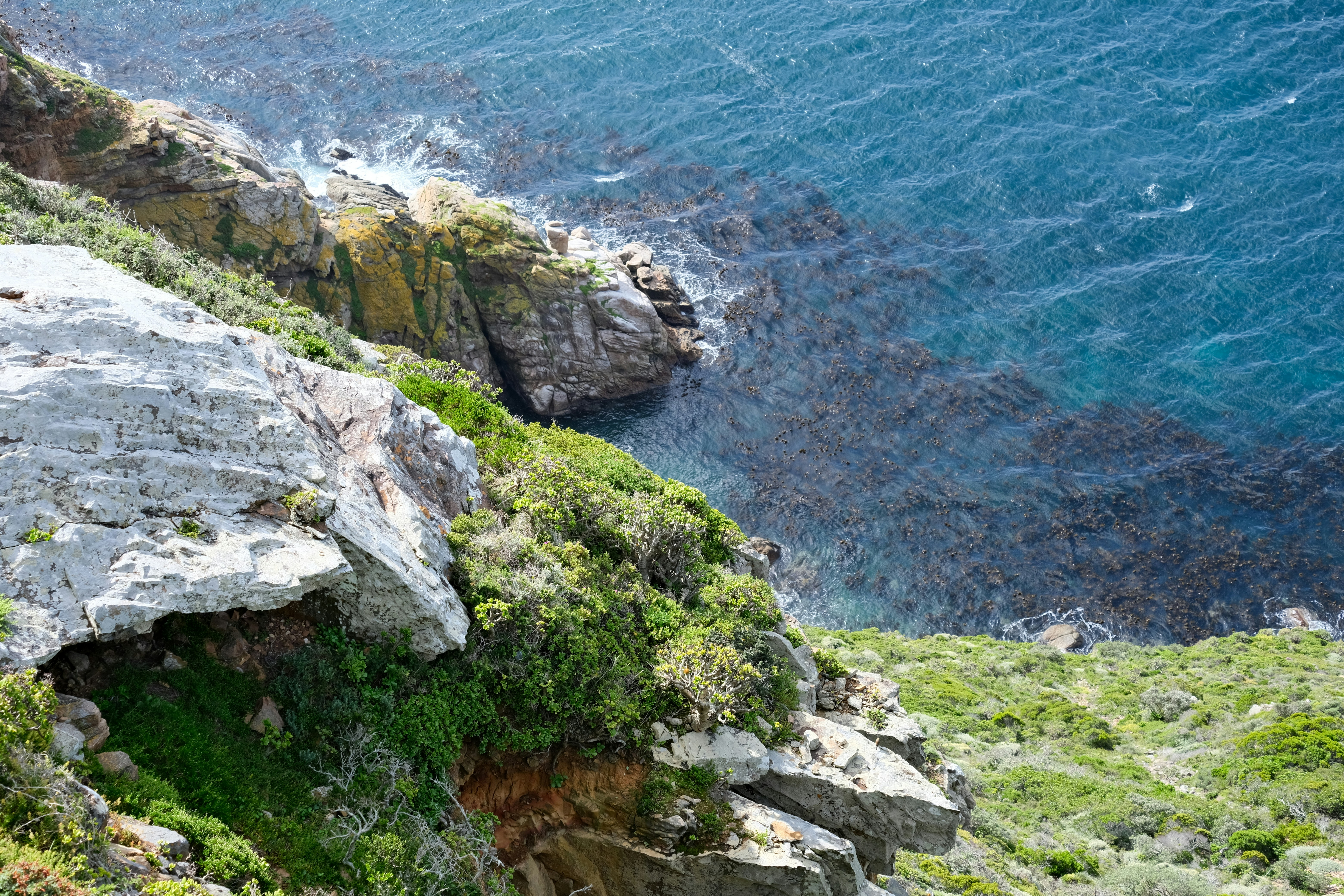 Photo by mariusjleonard