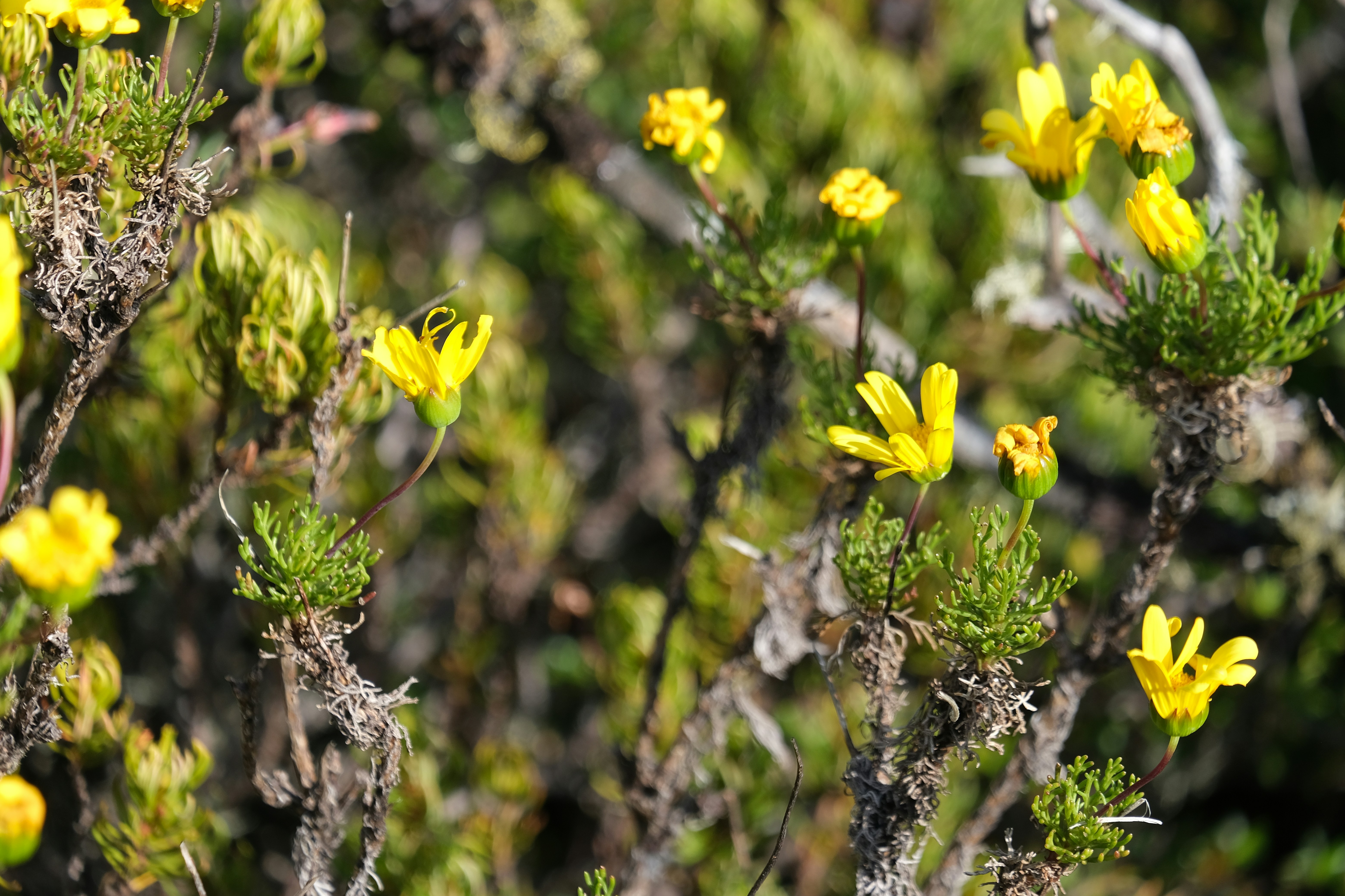 Photo by mariusjleonard