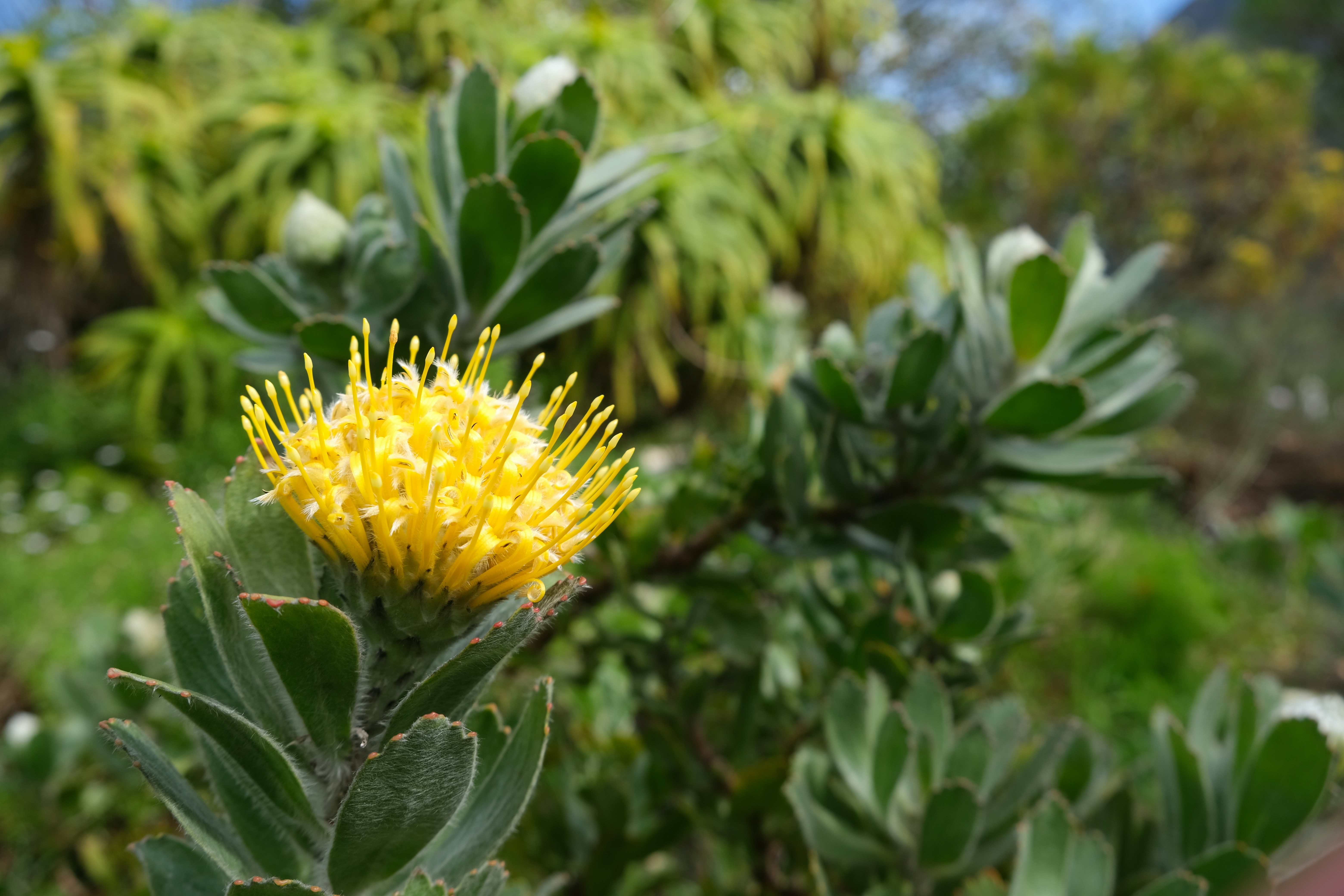 Photo by mariusjleonard