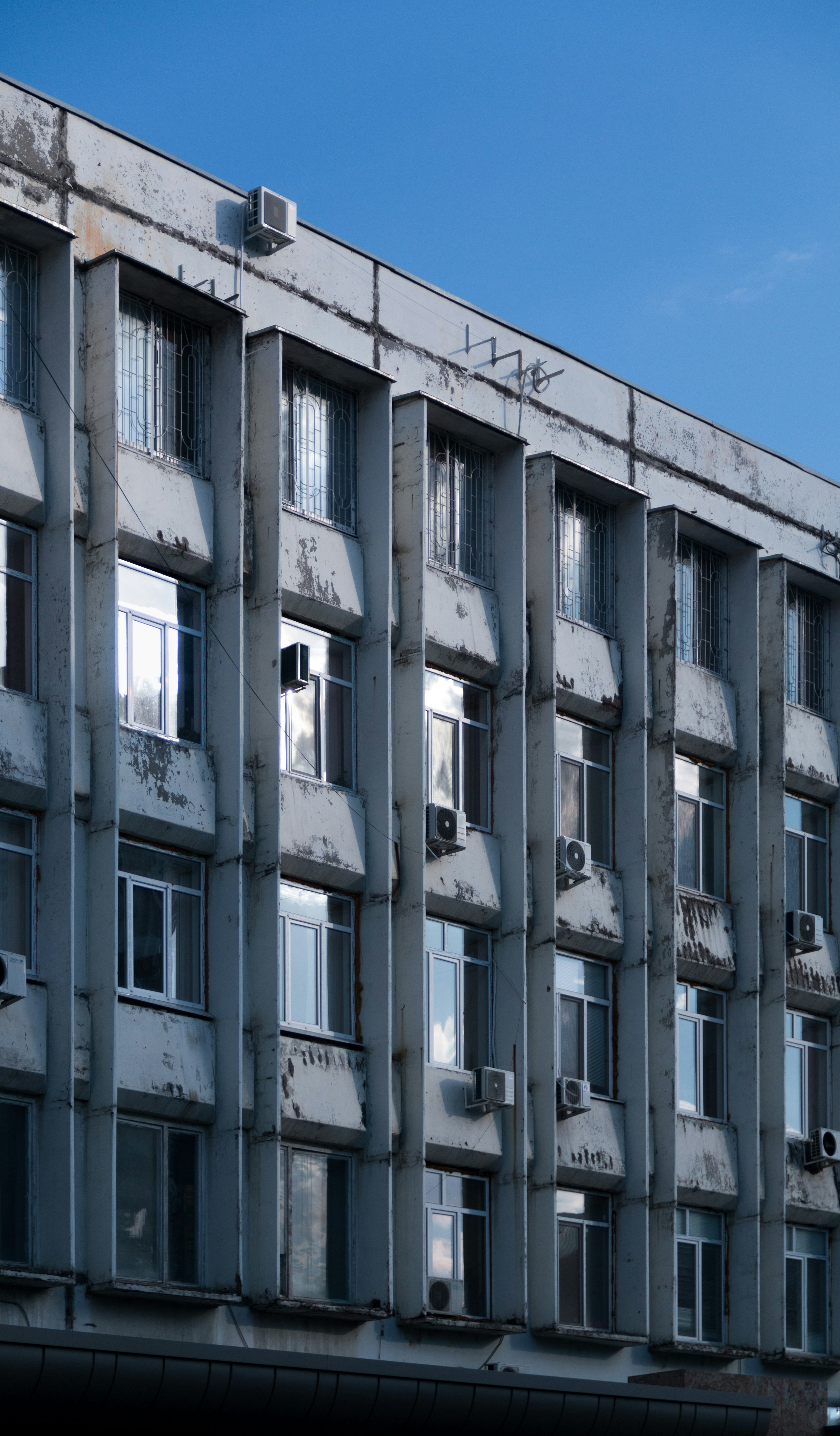 Photo by florin_palamarciuc