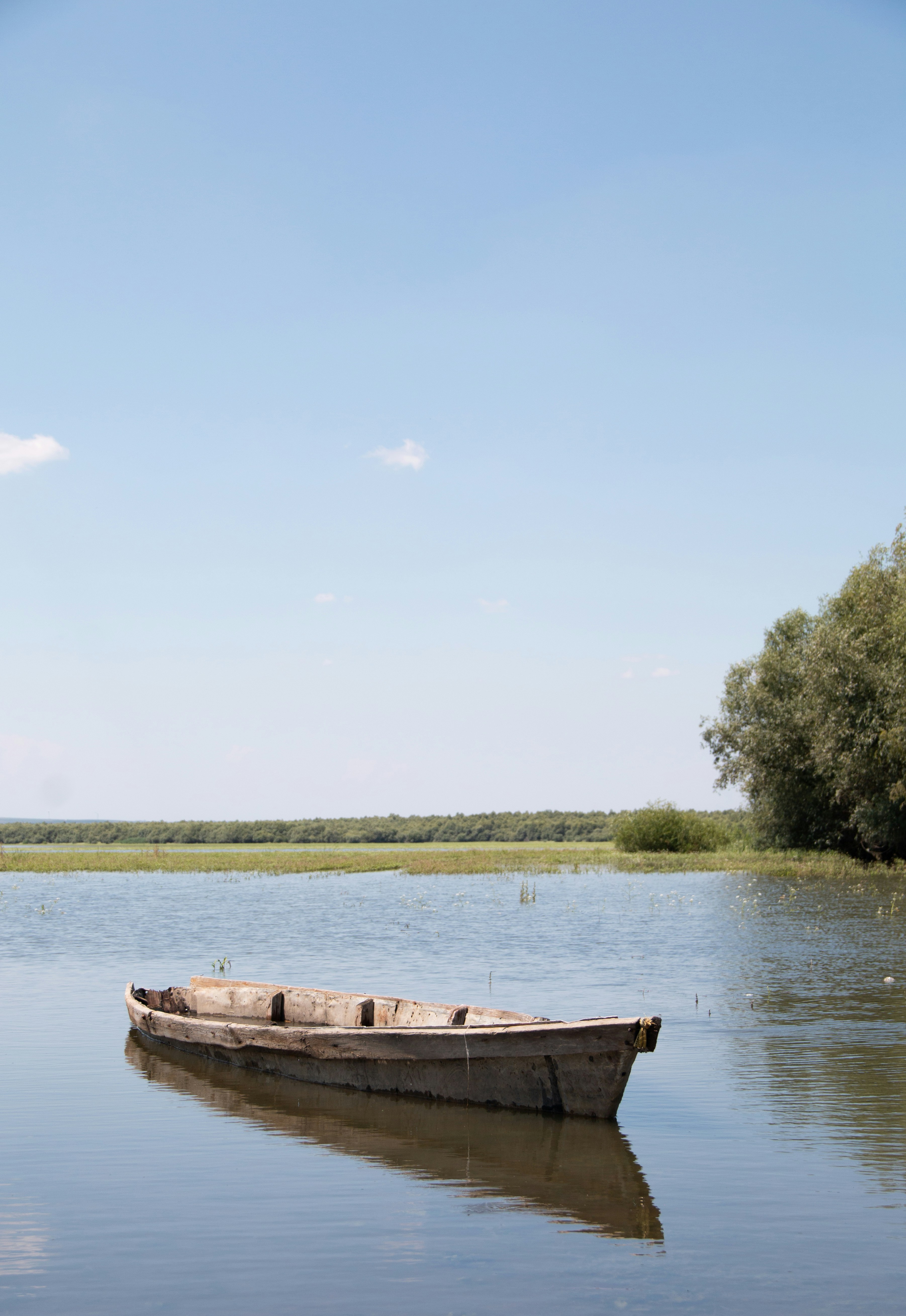 Photo by florin_palamarciuc