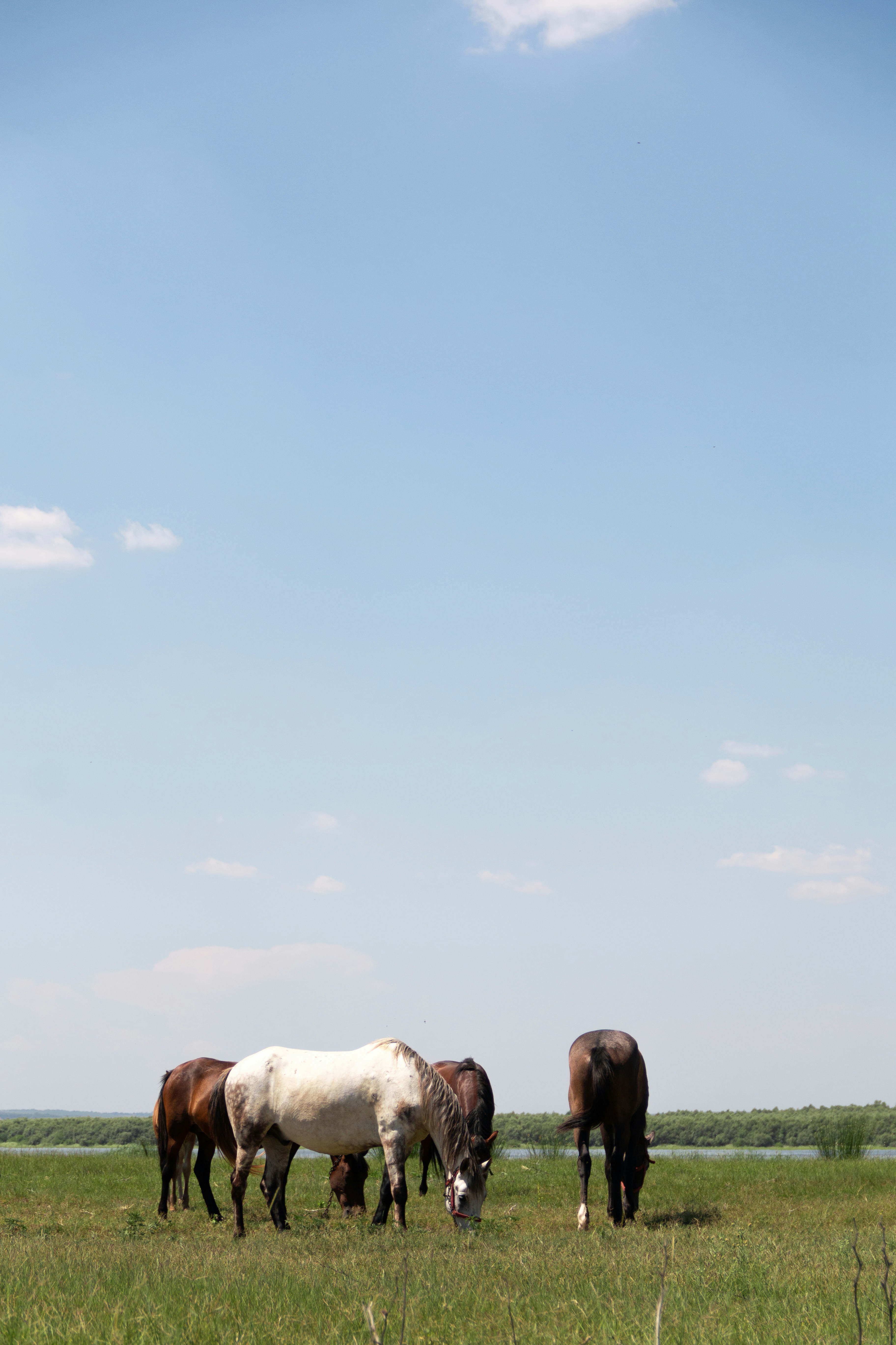 Photo by florin_palamarciuc