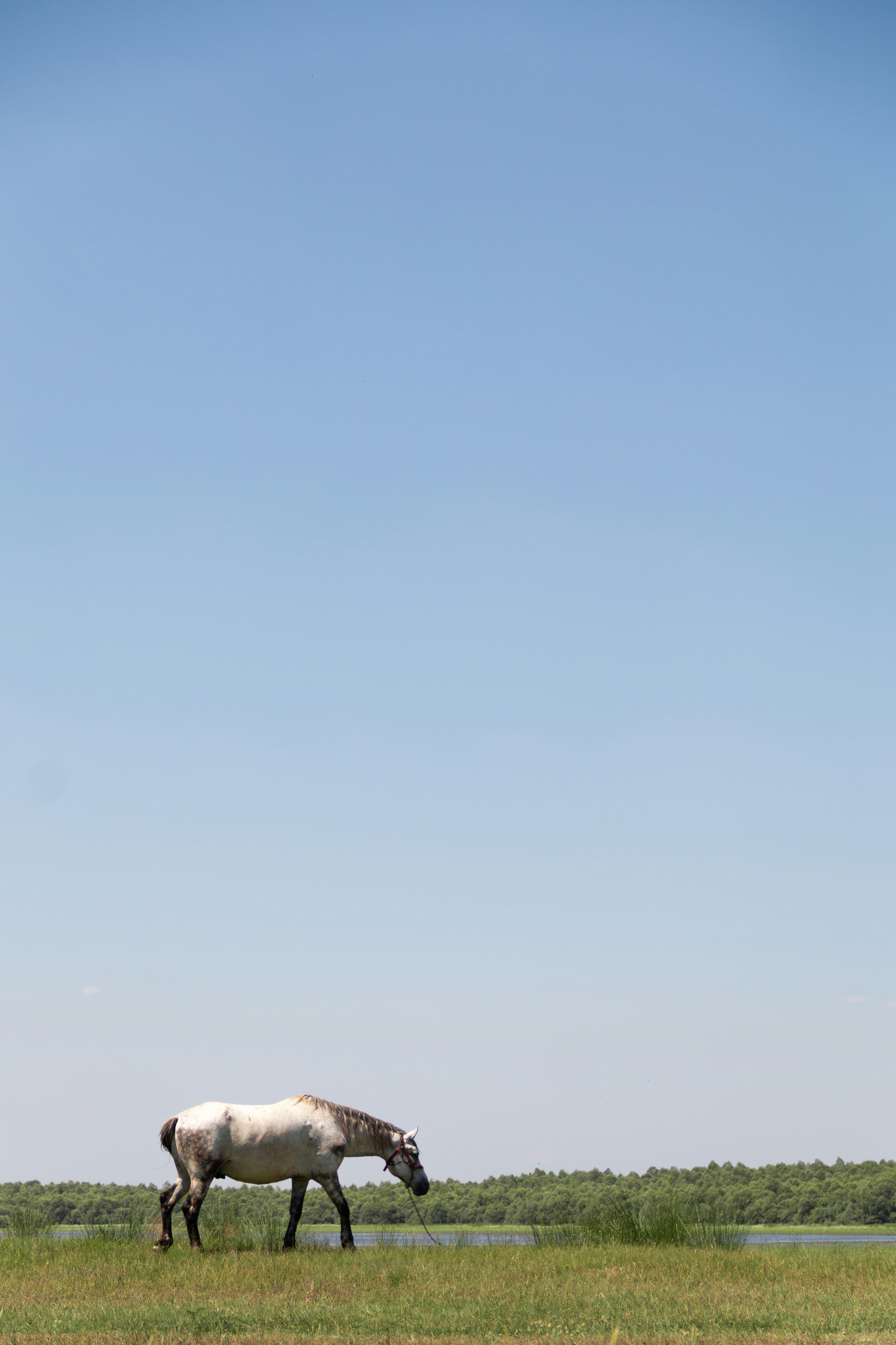 Photo by florin_palamarciuc