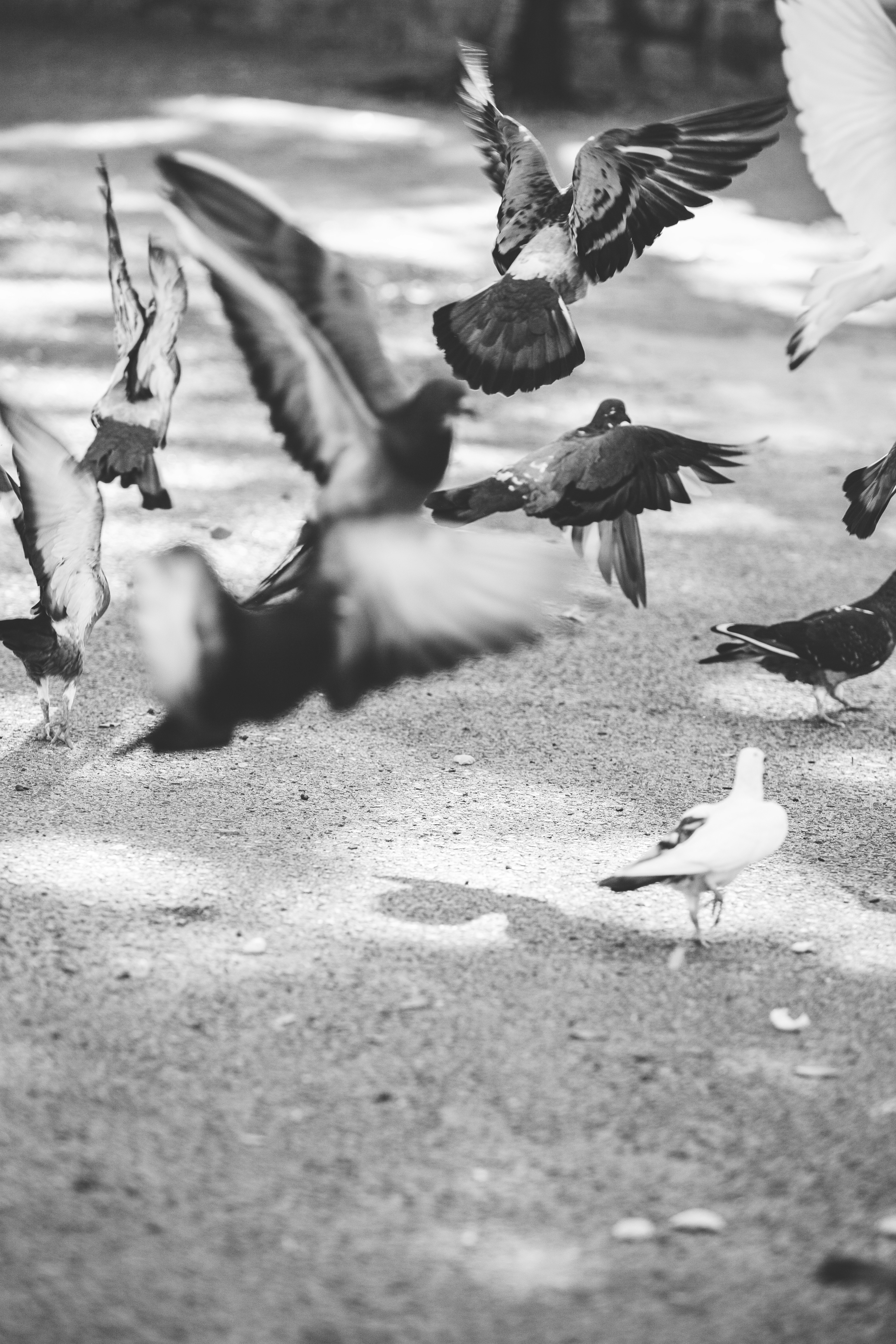 Photo by huy_nguyen_minh