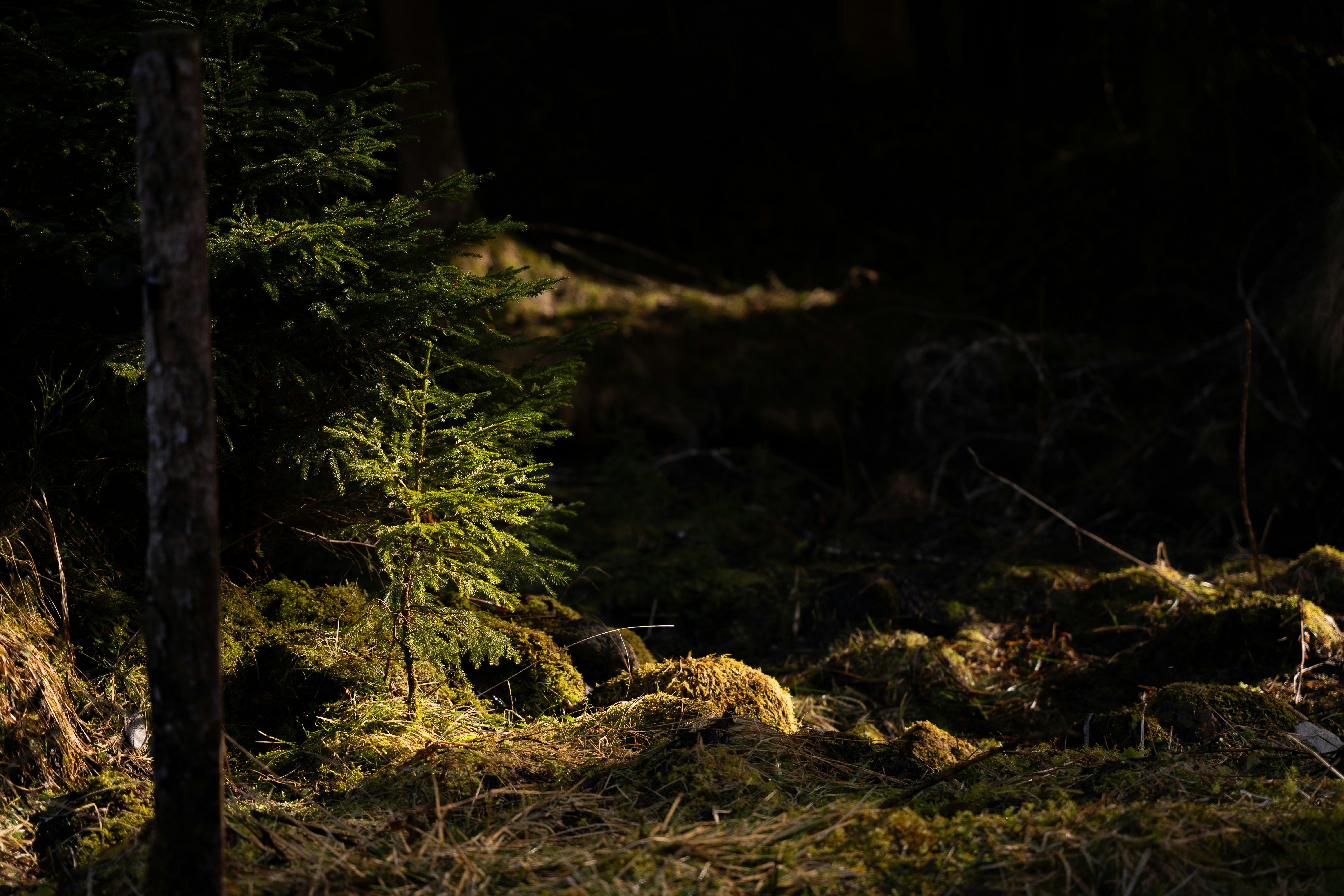 Photo by jannyffenegger