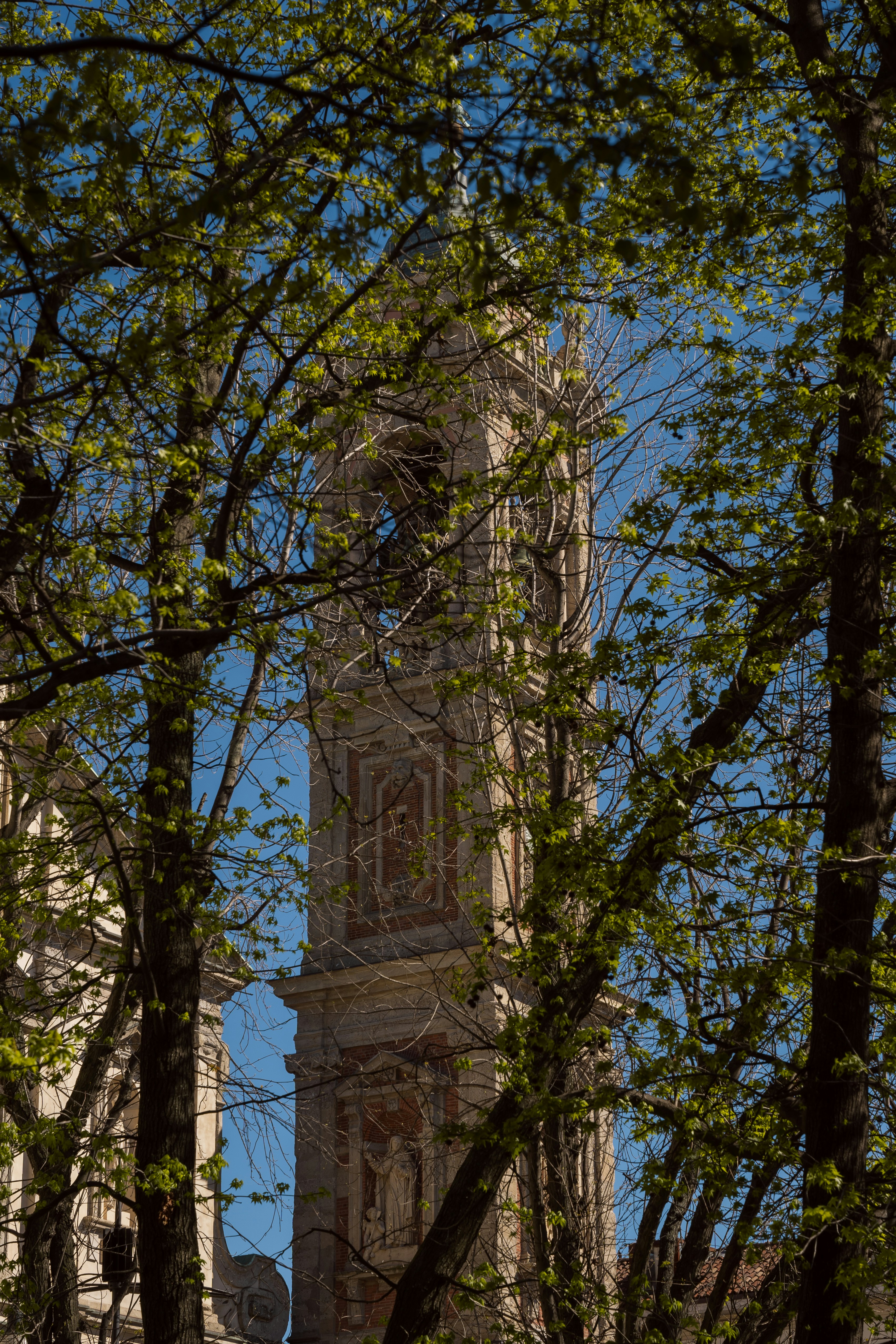 Photo by jannyffenegger