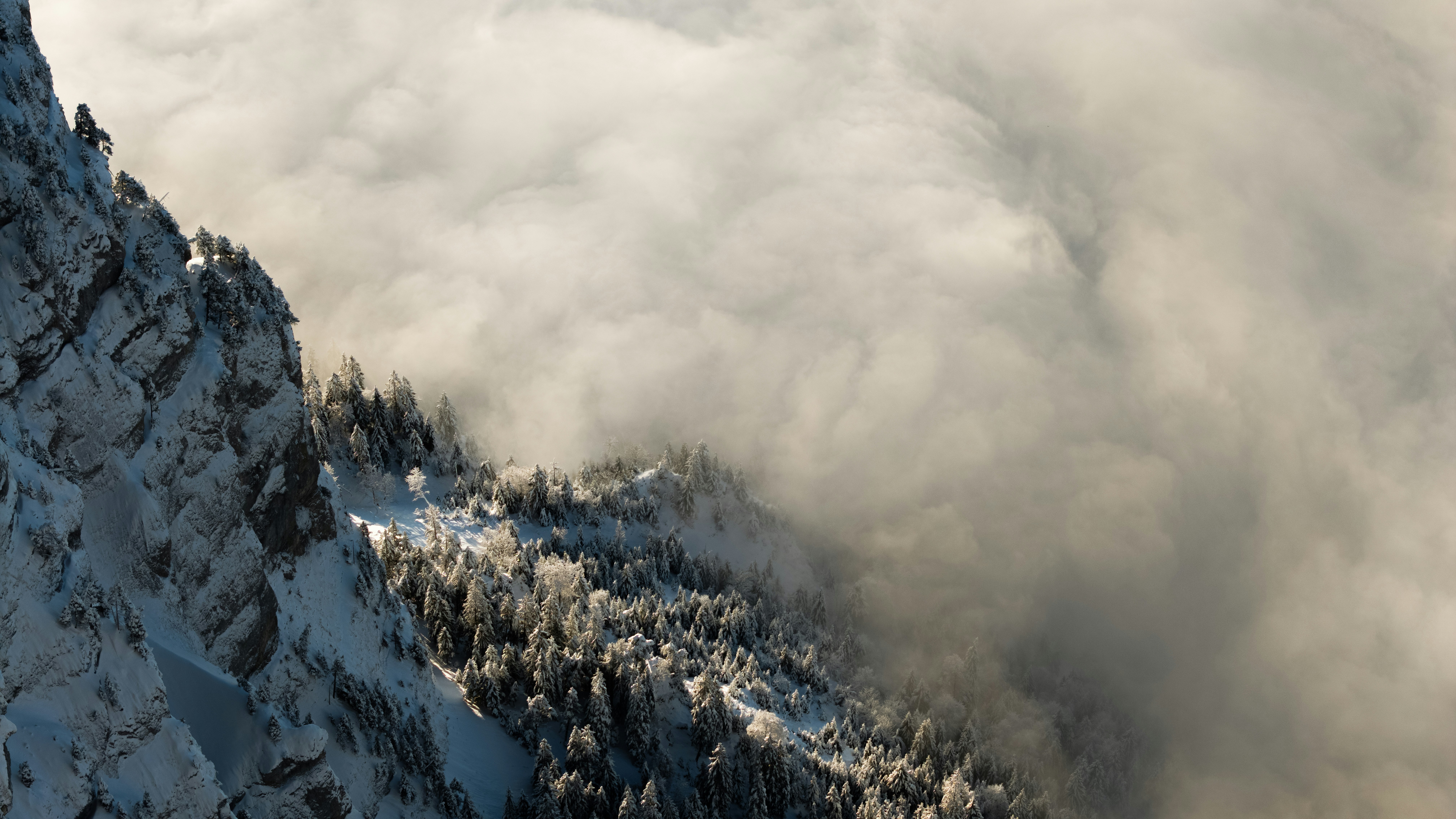 Photo by jannyffenegger