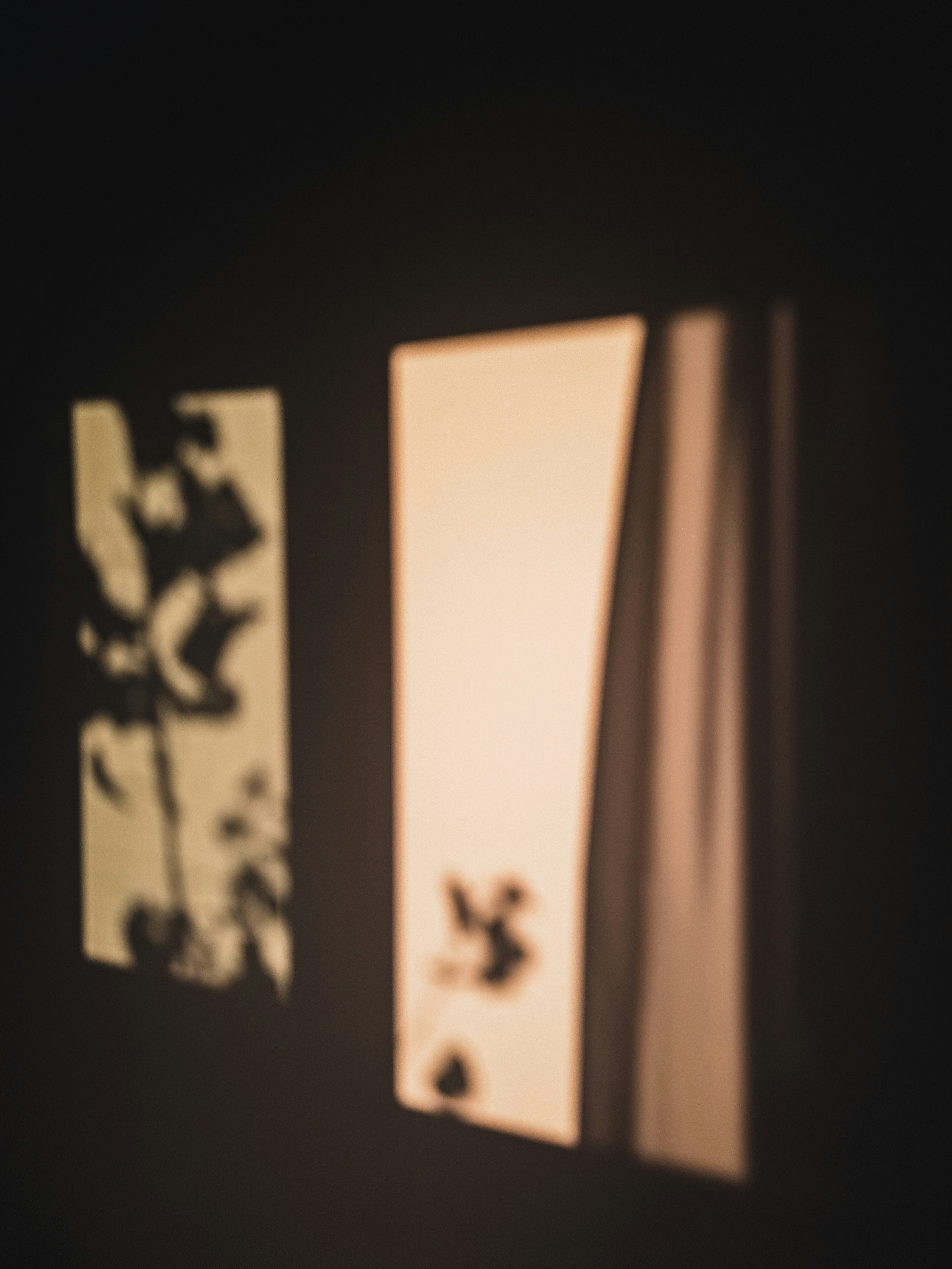 Photo by photo_setayesh