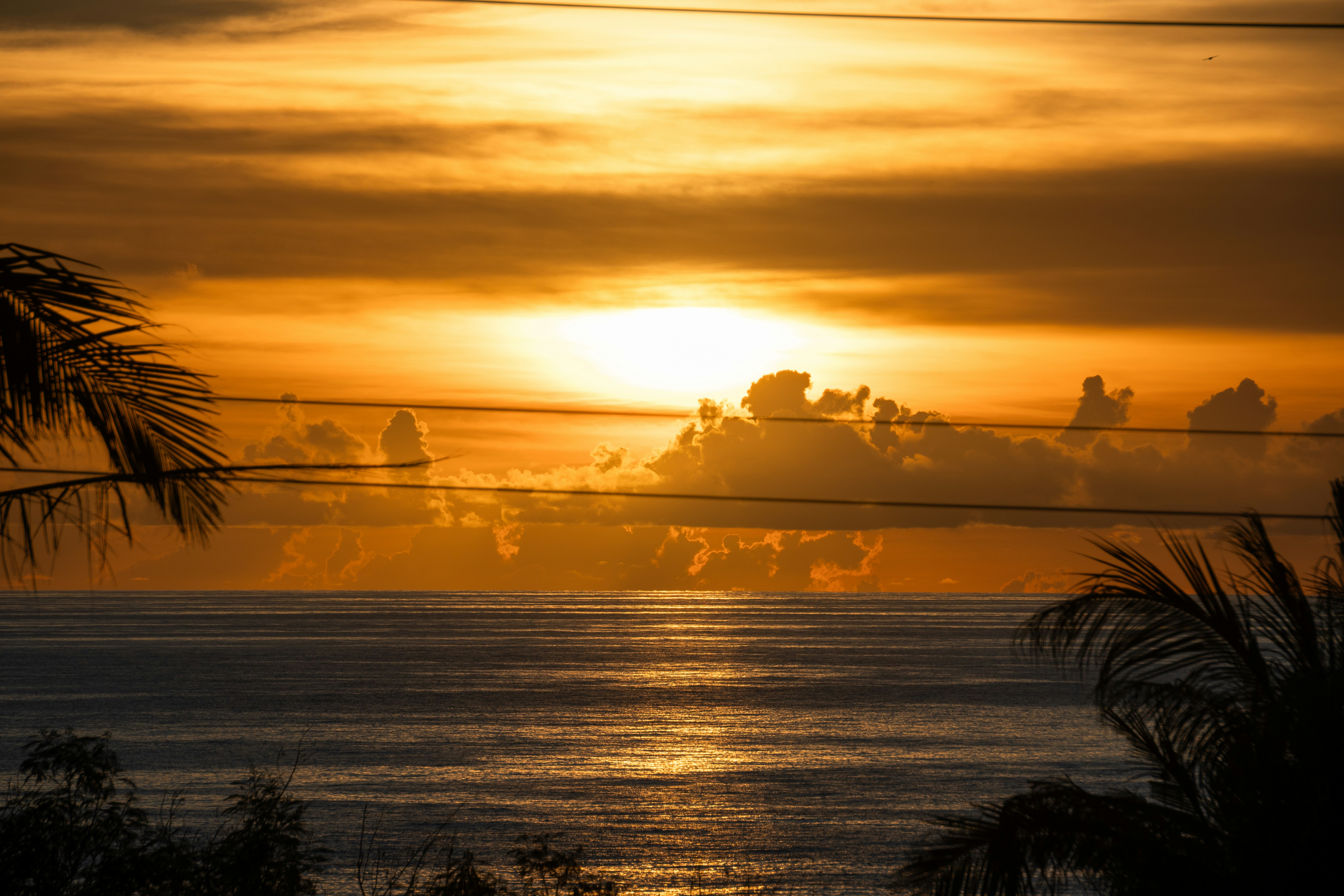 The sun is setting over the ocean with palm trees