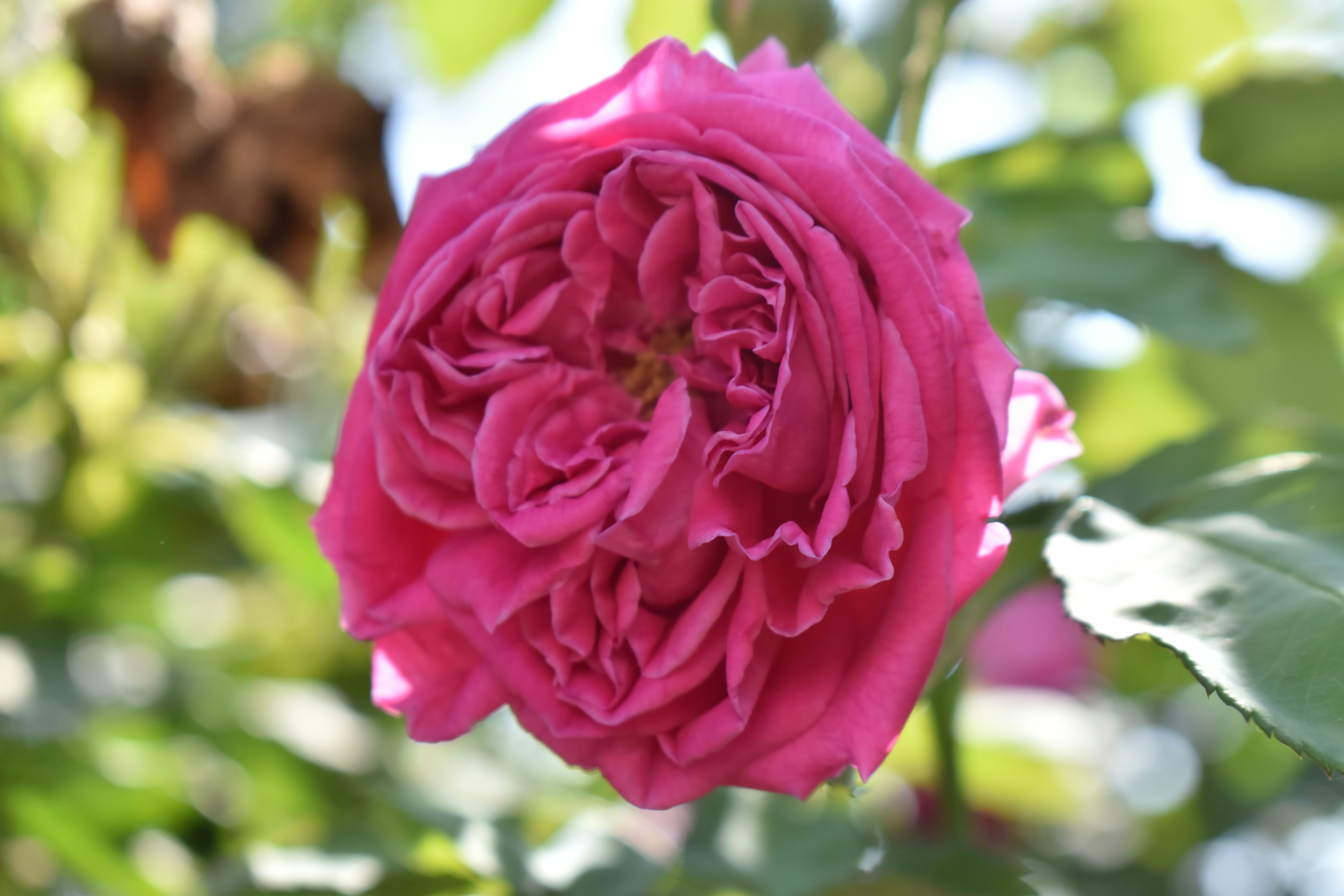 Photo by annnnnnnna8