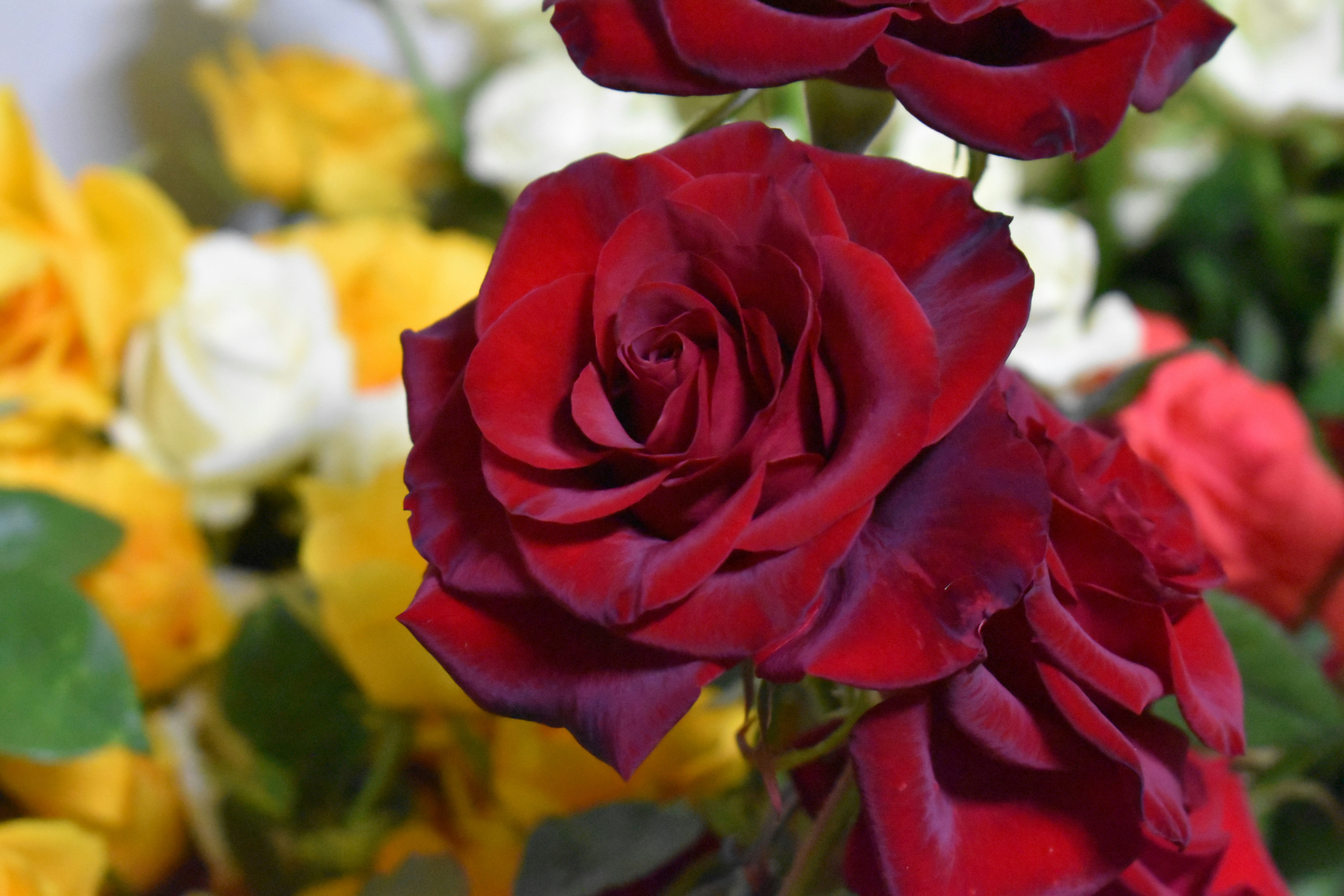 Photo by annnnnnnna8