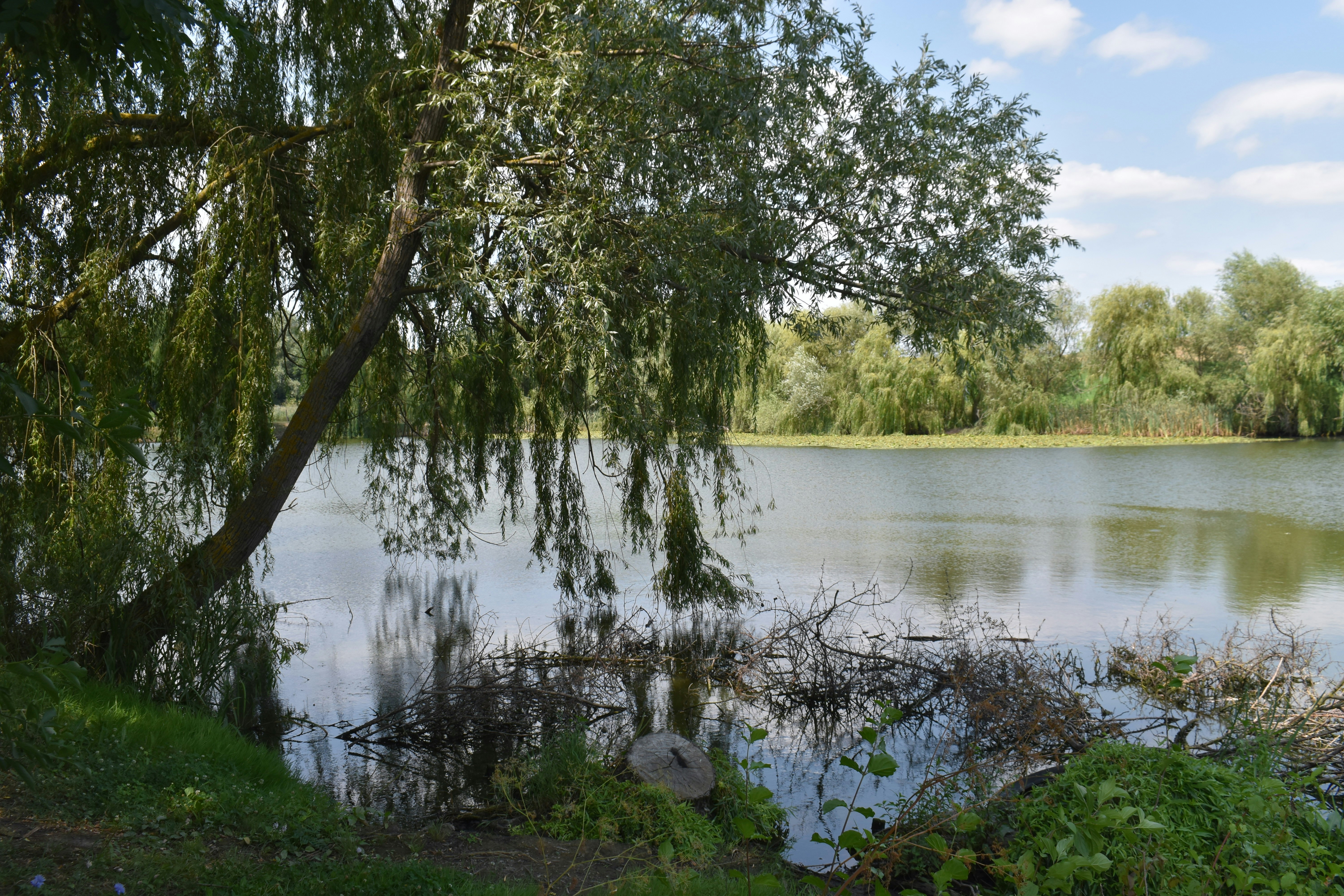 Photo by annnnnnnna8