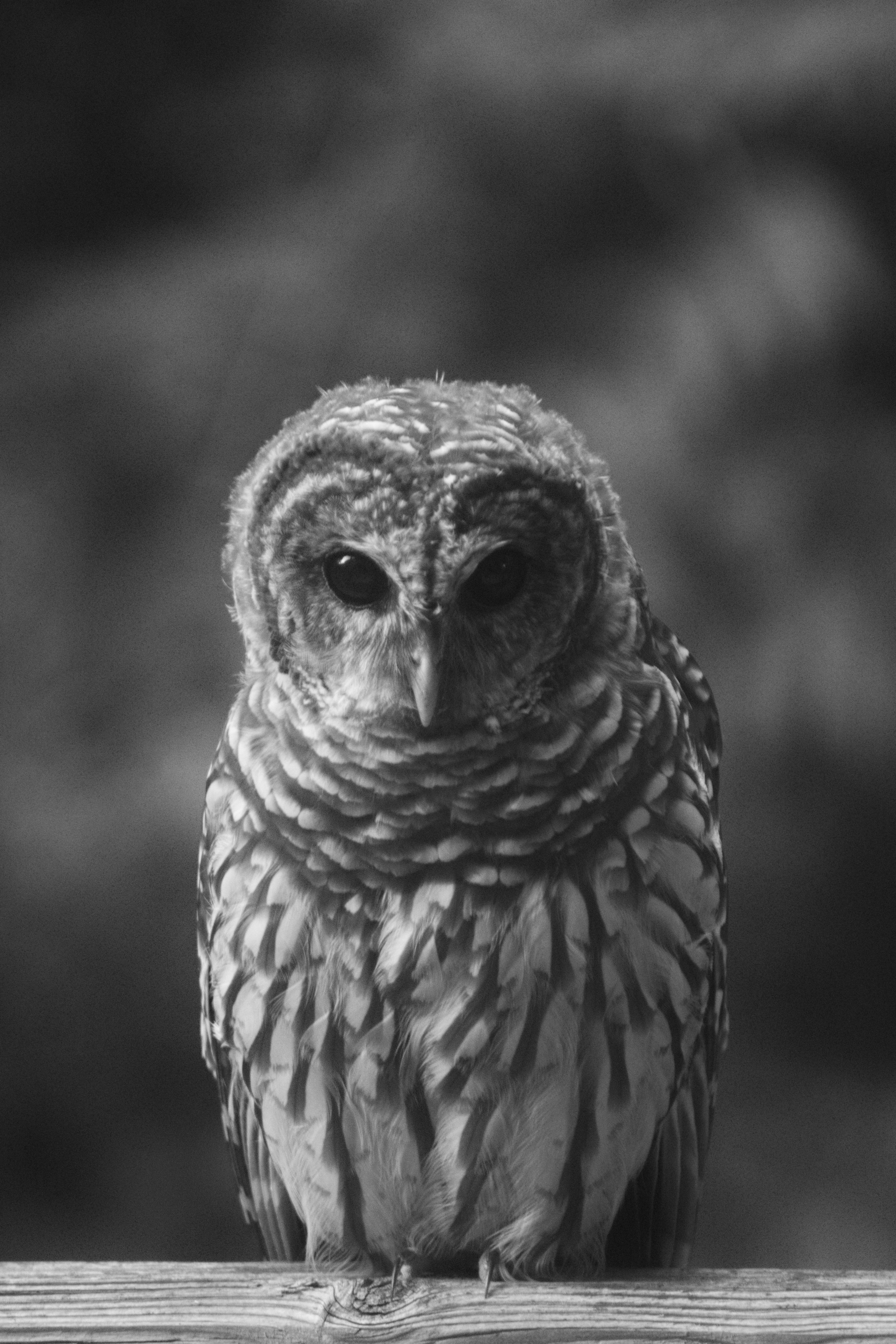 Photo by nathaniel_davila