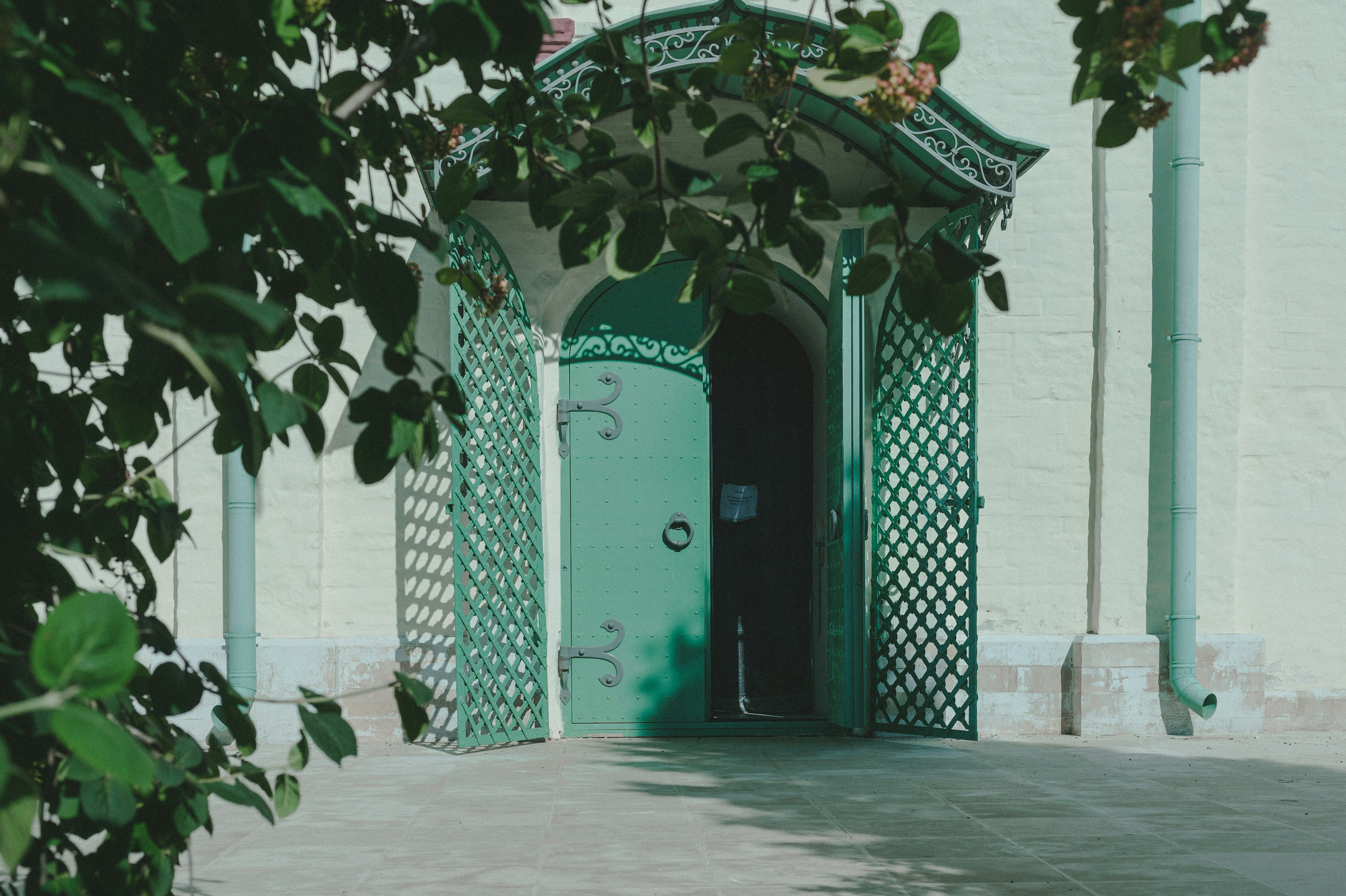 photo-1721737624248-60b75f9831d8?ixid=M3wxMjA3fDB8MXxzZWFyY2h8MTZ8fCVEMCVCMiVEMSU4NSVEMCVCRSVEMCVCNCUyMCVEMCVCQSVEMSU4MCVEMCVCMCVEMCVCQSVEMCVCNSVEMCVCRHxlbnwwfHx8fDE3MjY5NzQ4MTV8MA\u0026ixlib=rb-4.0.3