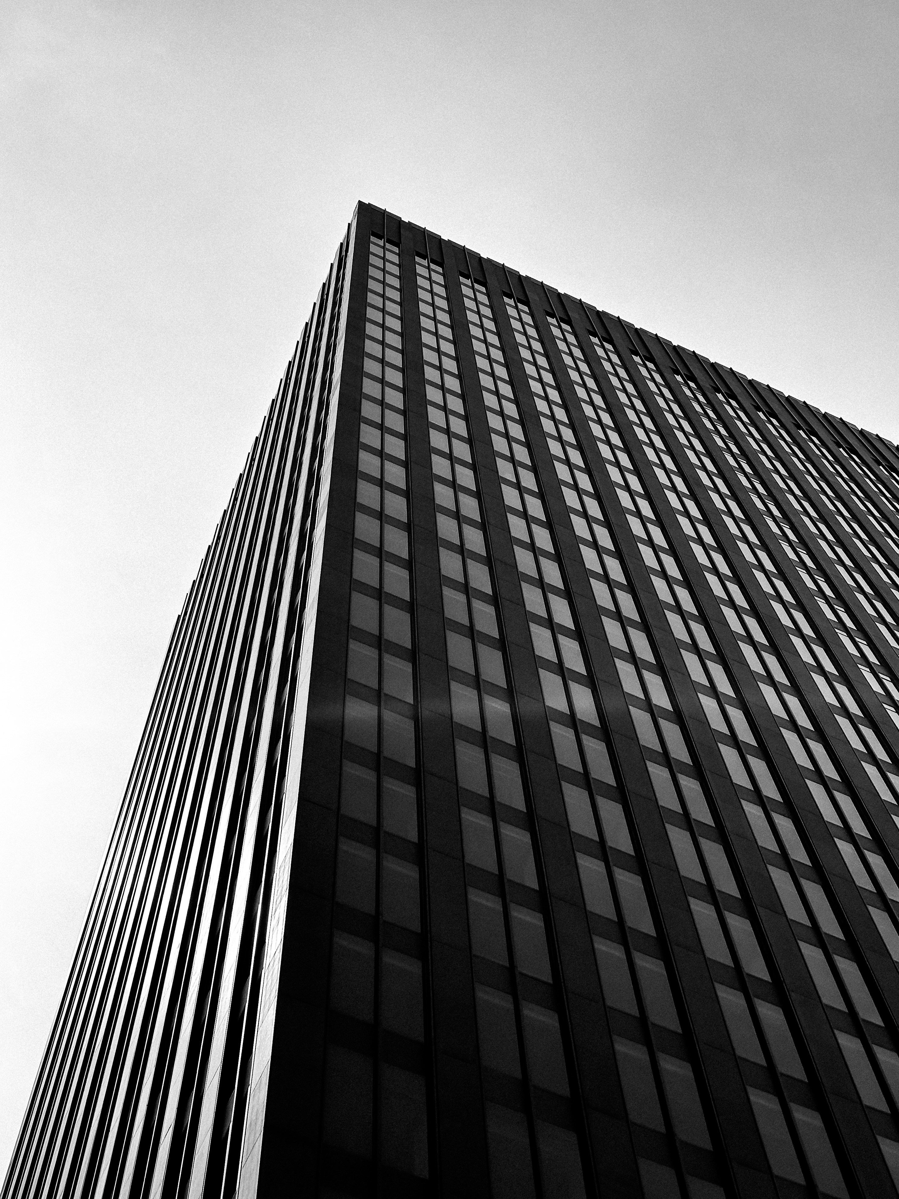 Photo by alisedighmoghadam