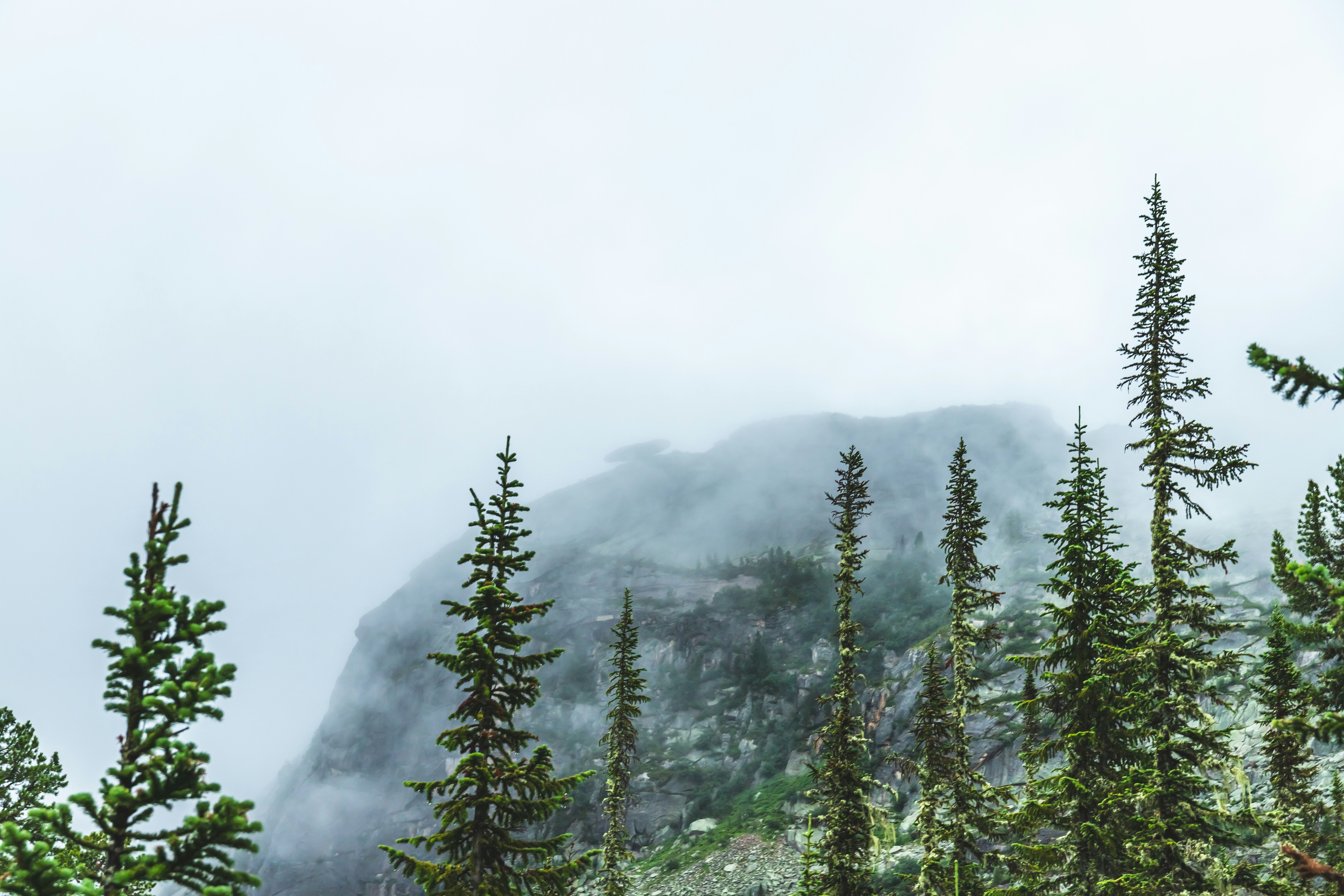 Photo by solomonikvik