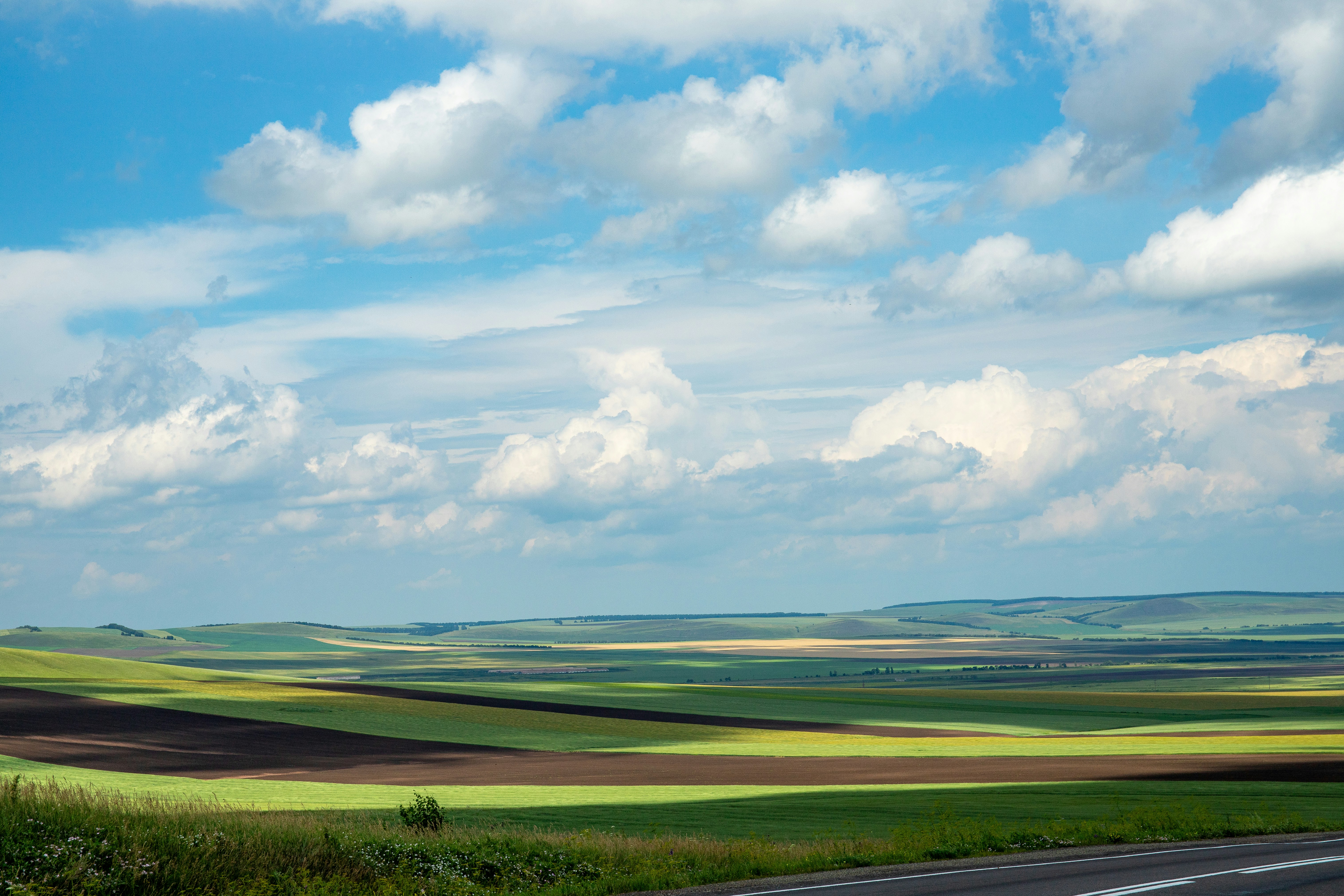 Photo by solomonikvik
