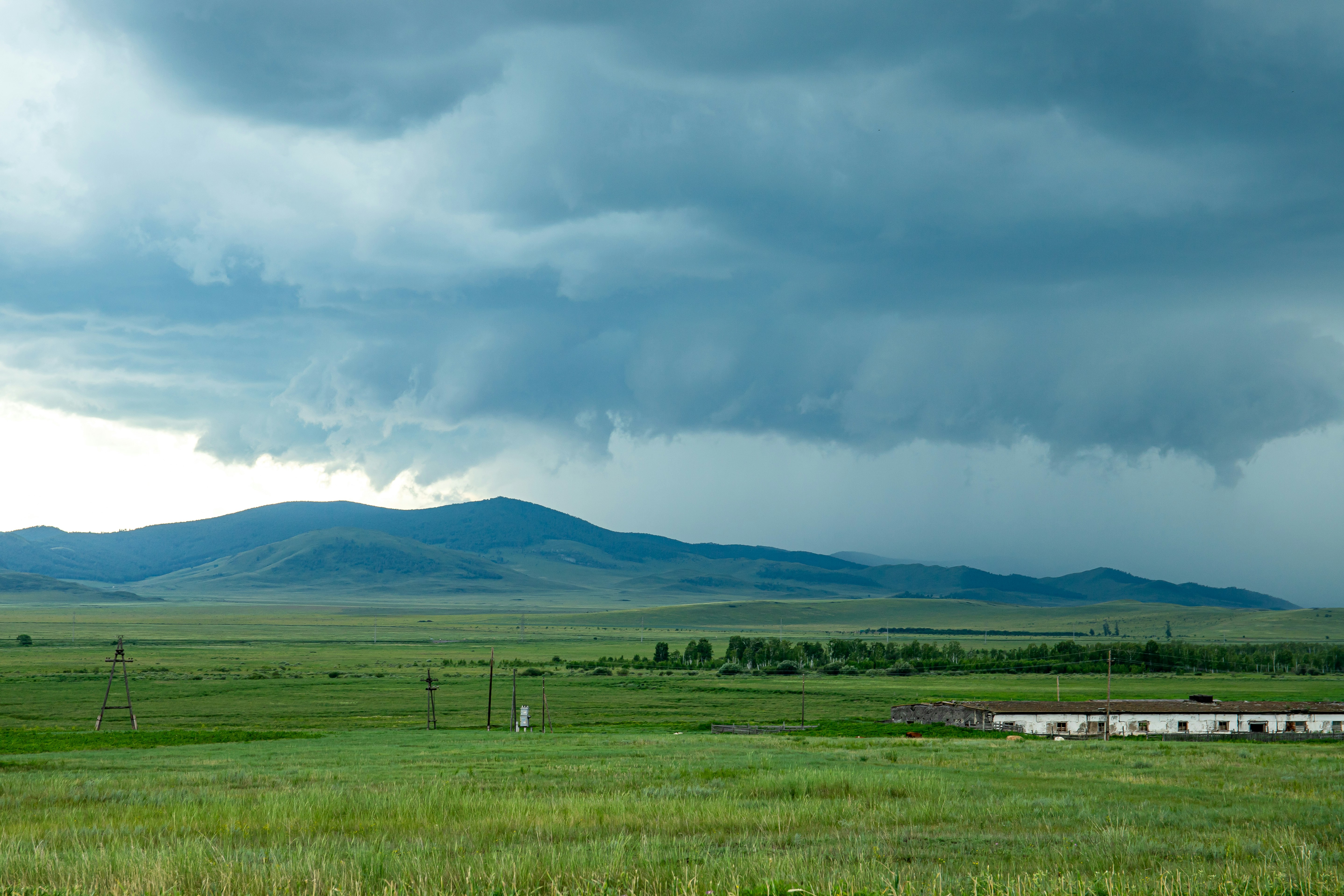 Photo by solomonikvik