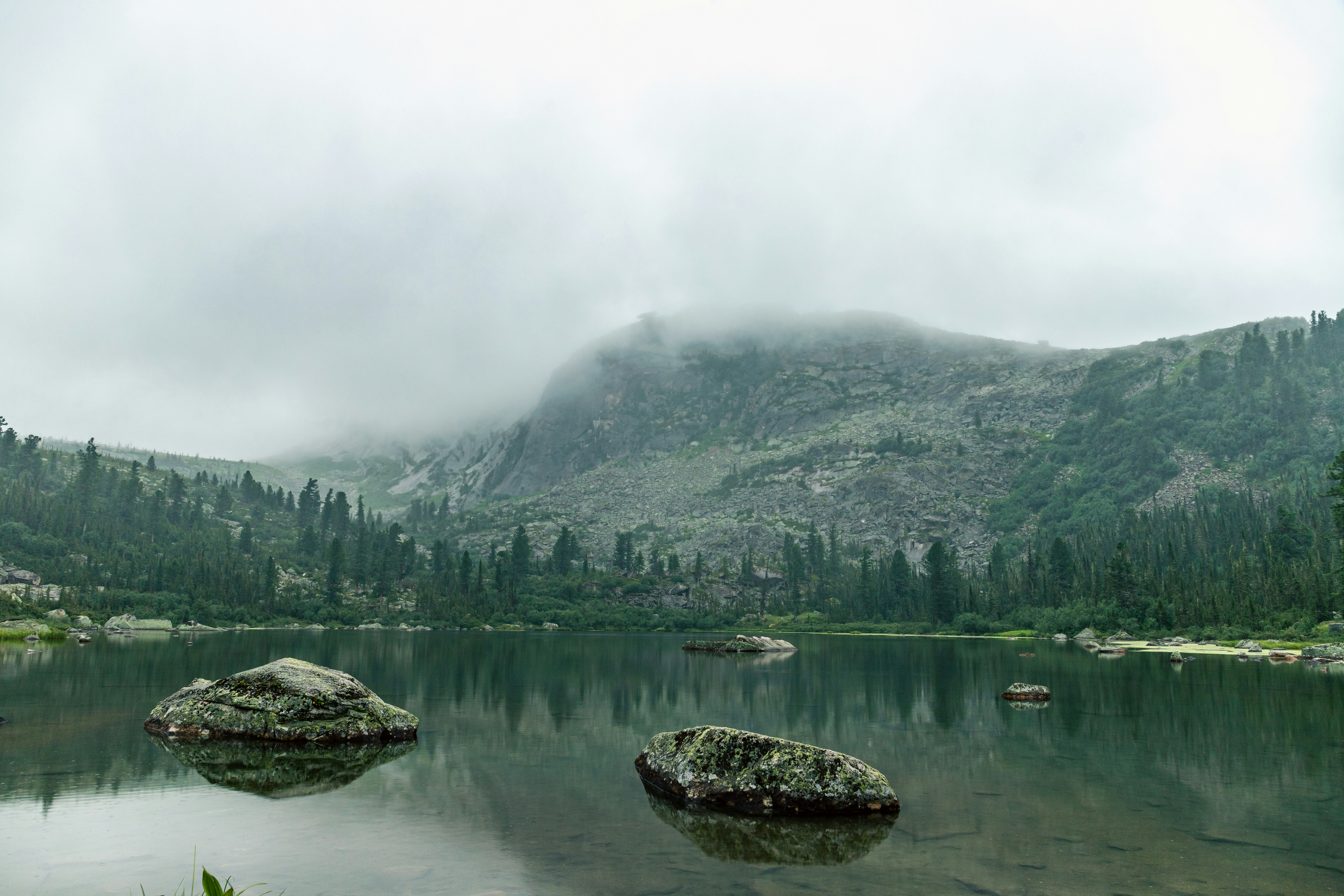 A body of water surrounded by mountains and trees