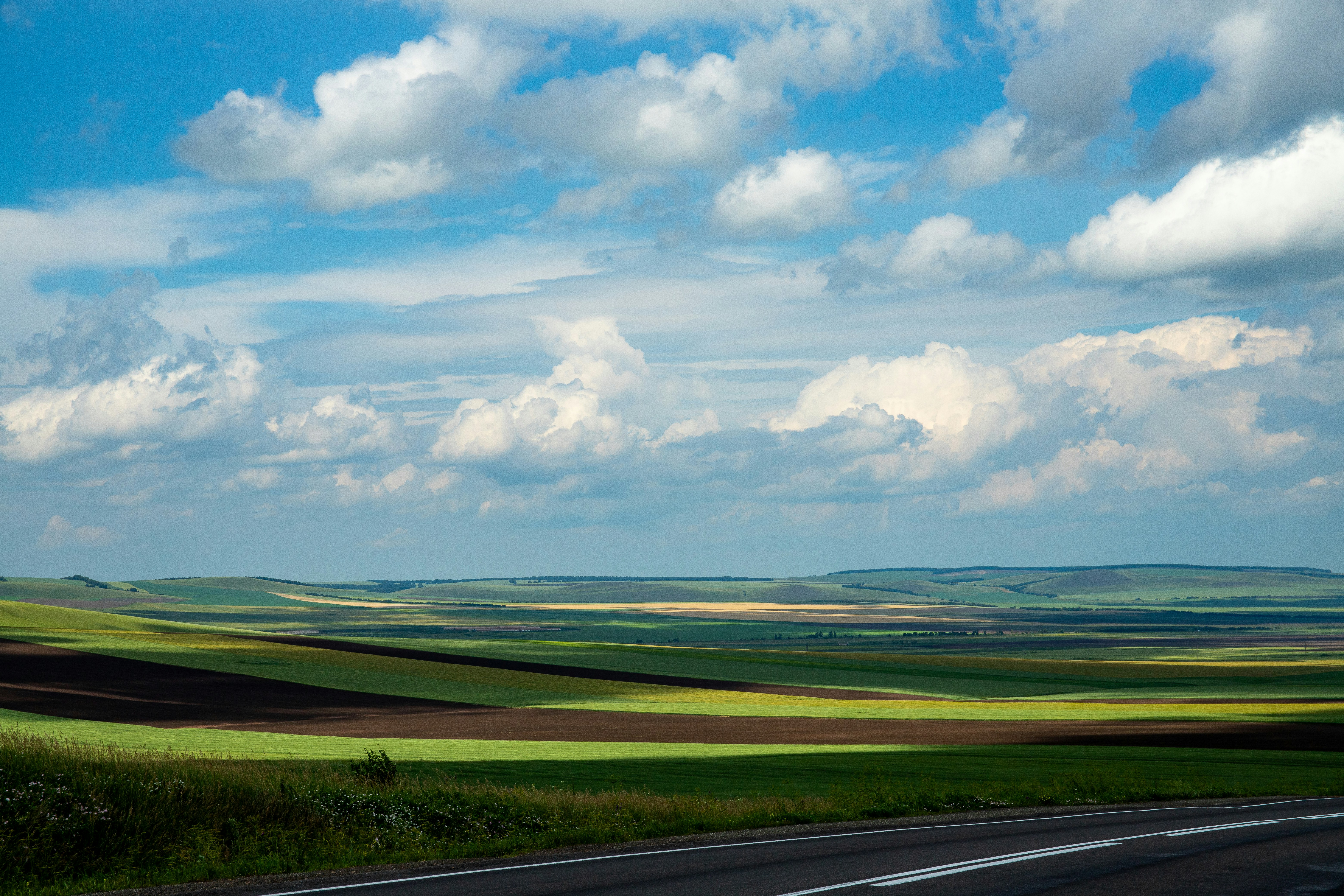 Photo by solomonikvik