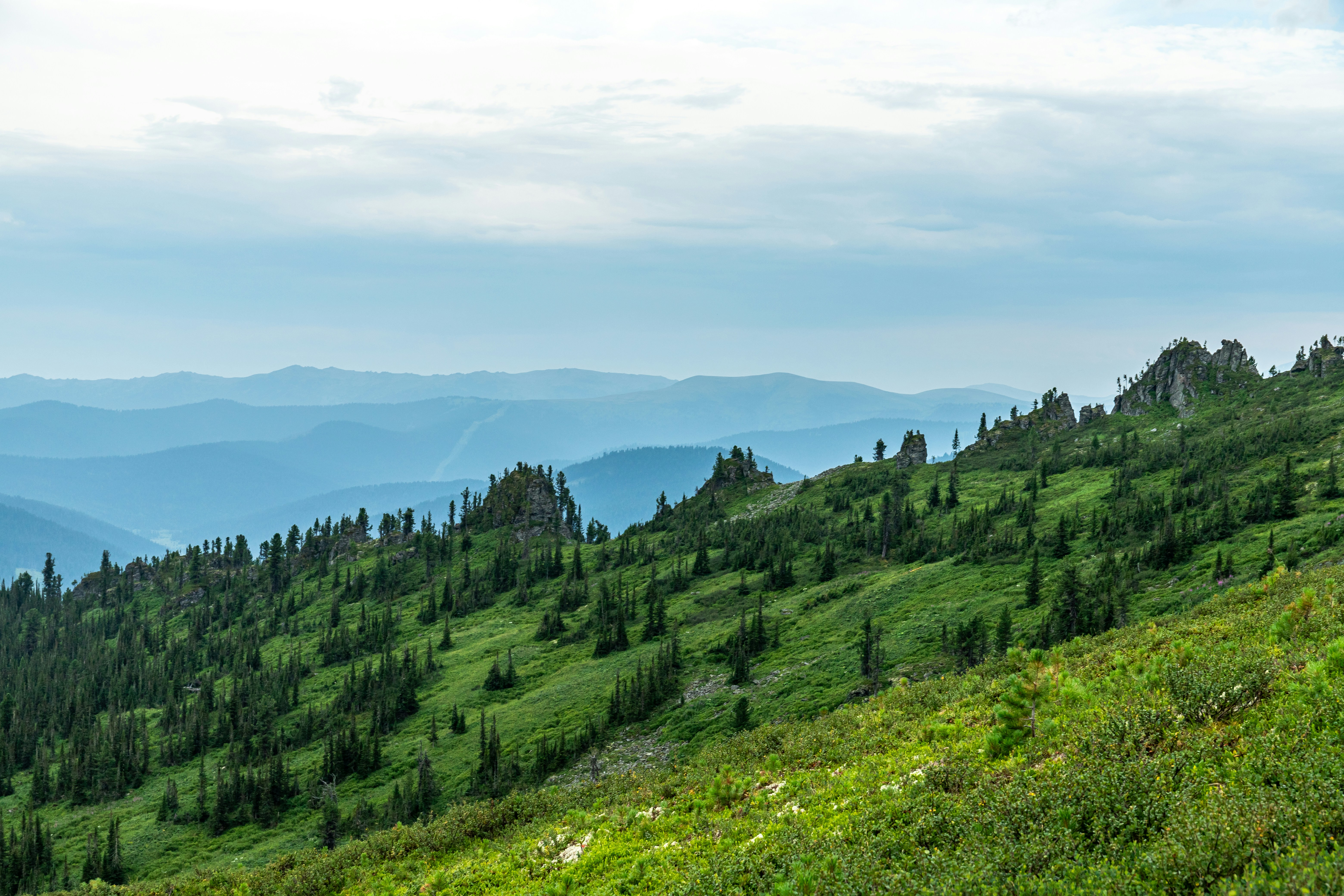 Photo by solomonikvik