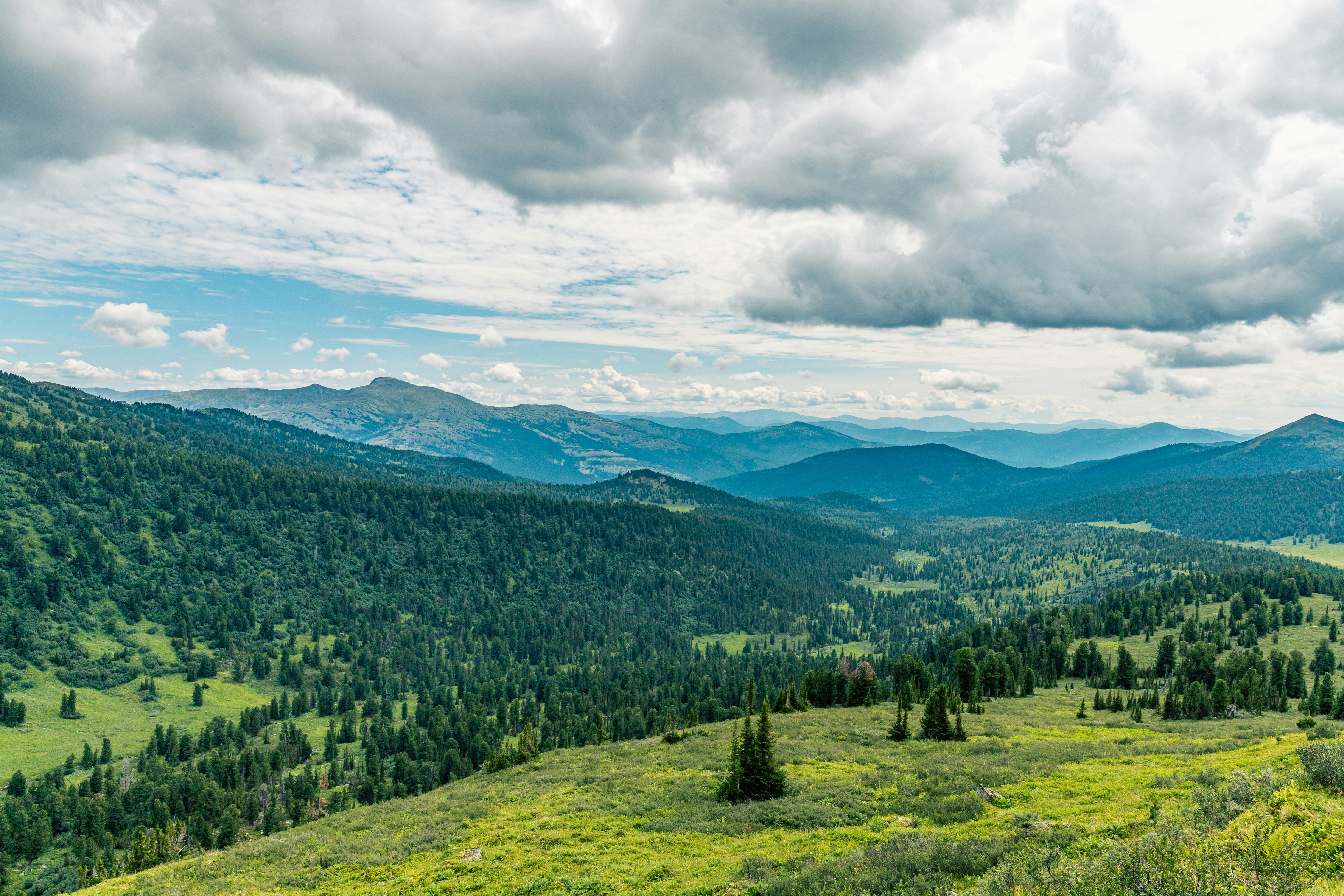 Photo by solomonikvik