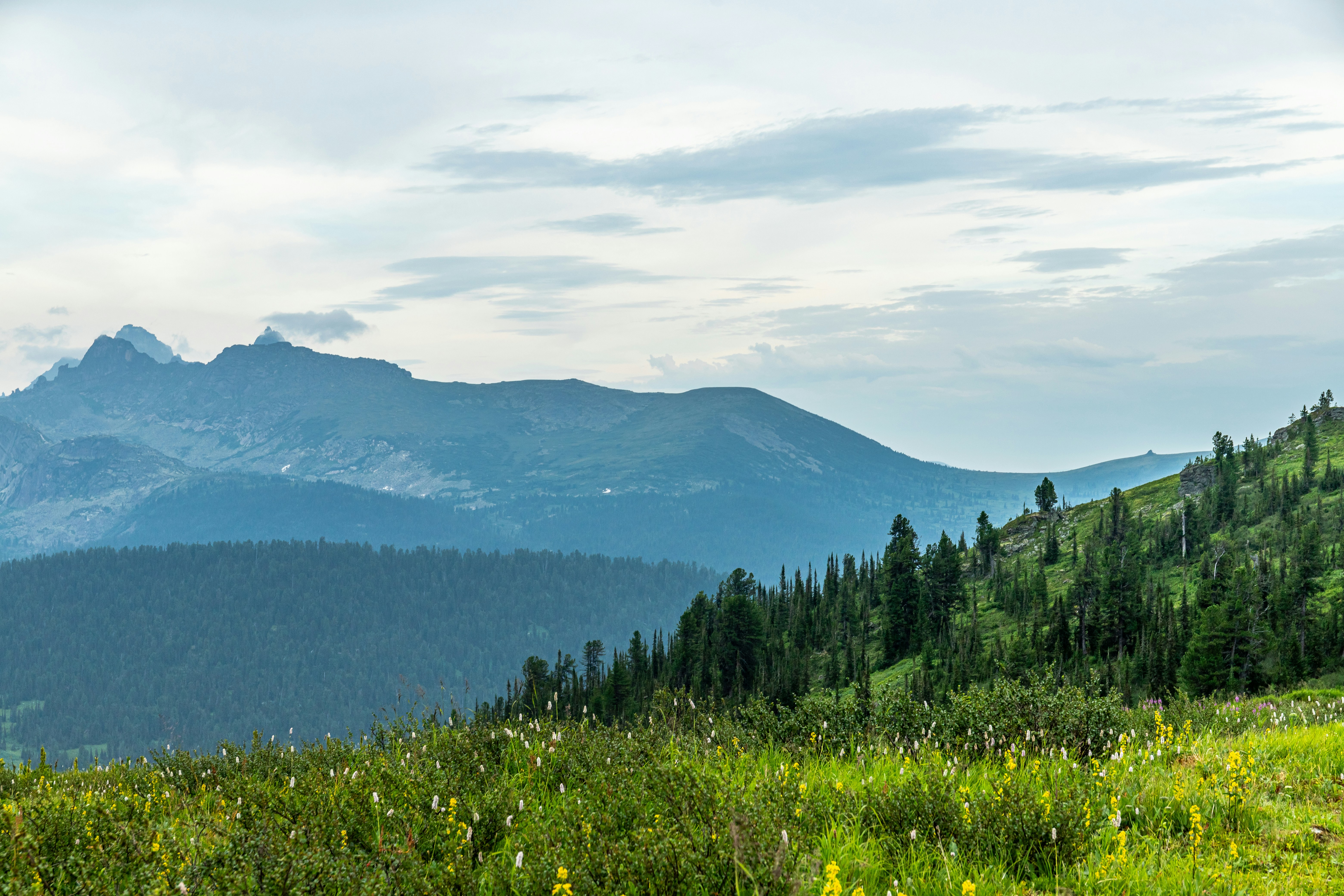 Photo by solomonikvik