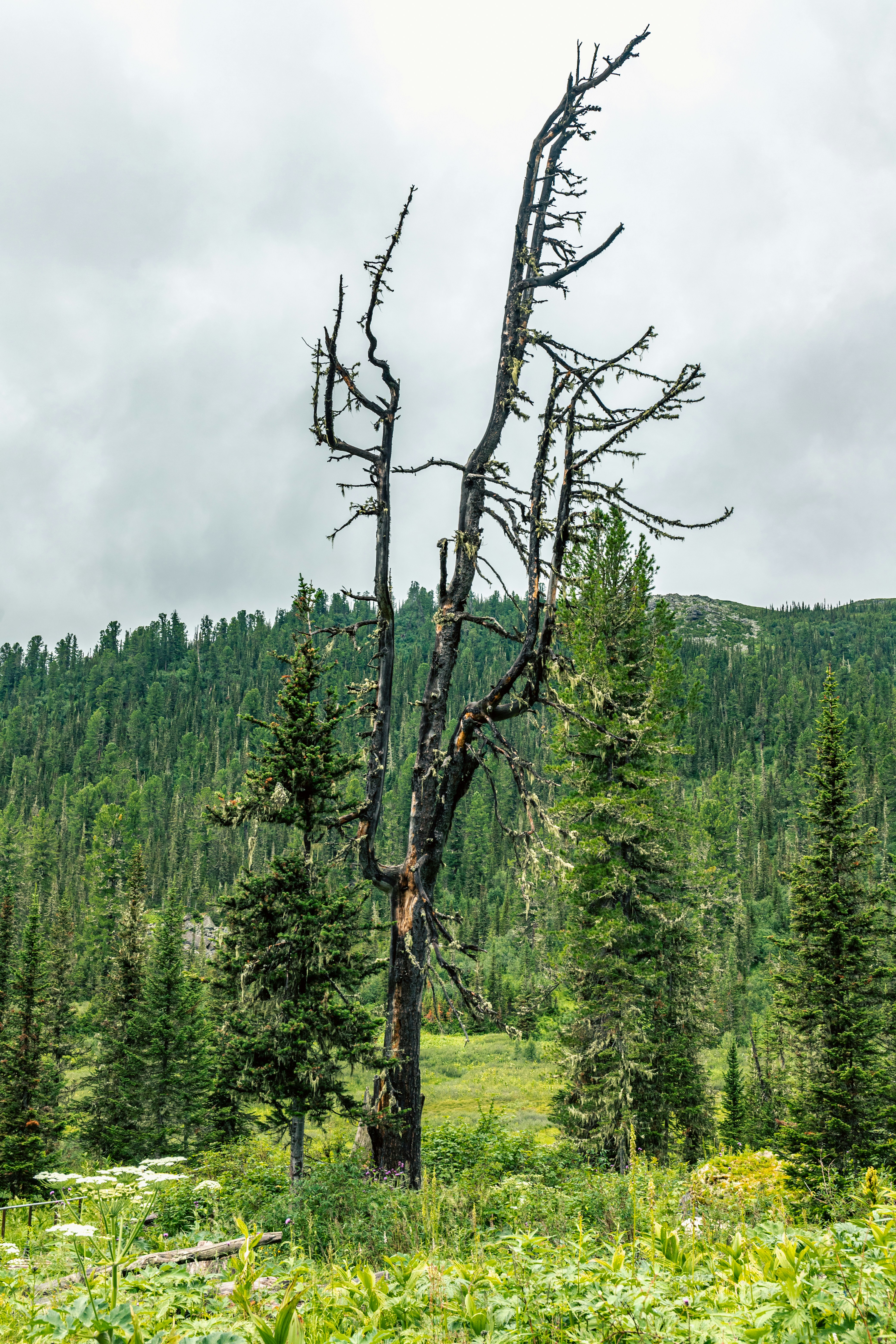 Photo by solomonikvik