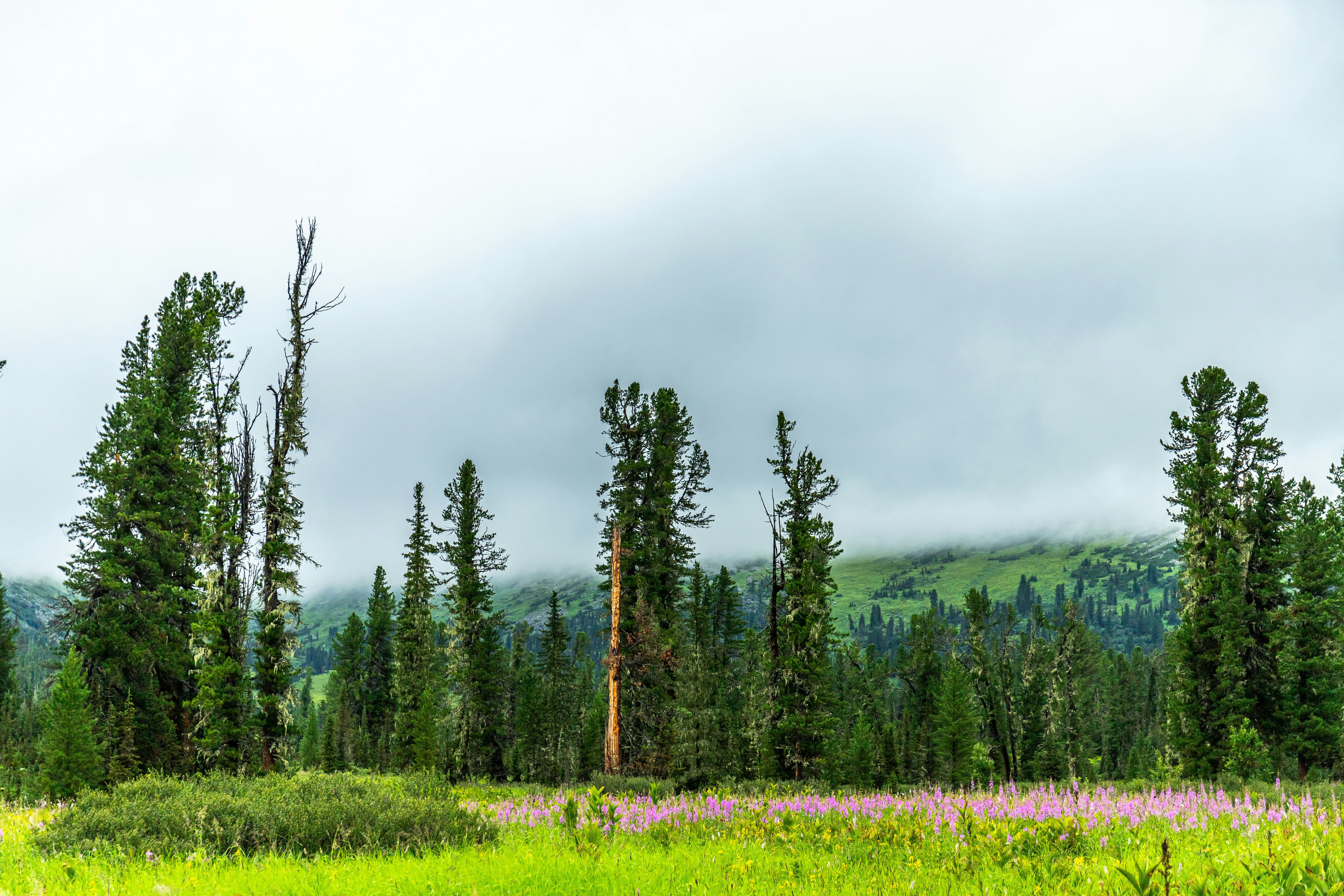 Photo by solomonikvik