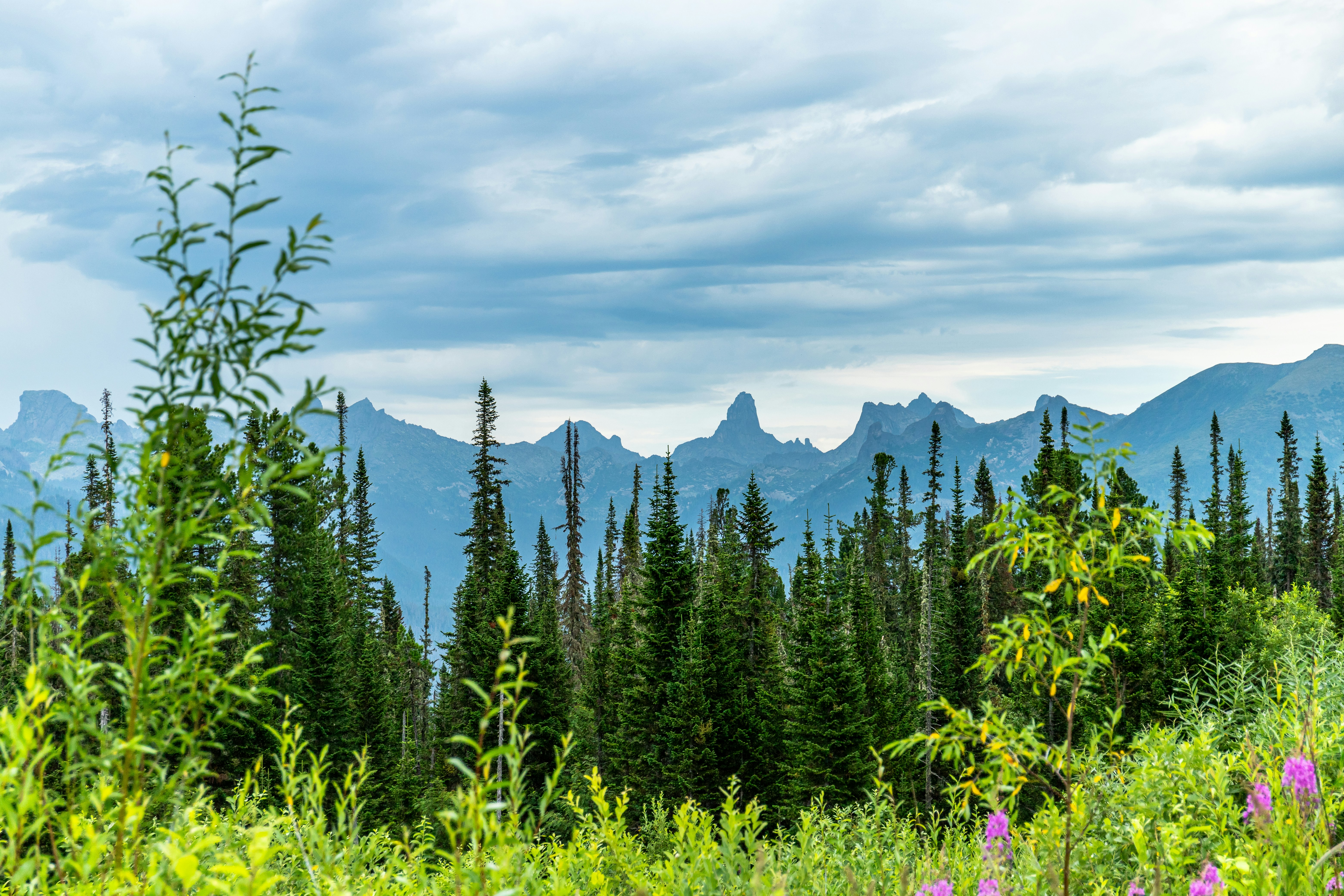 Photo by solomonikvik