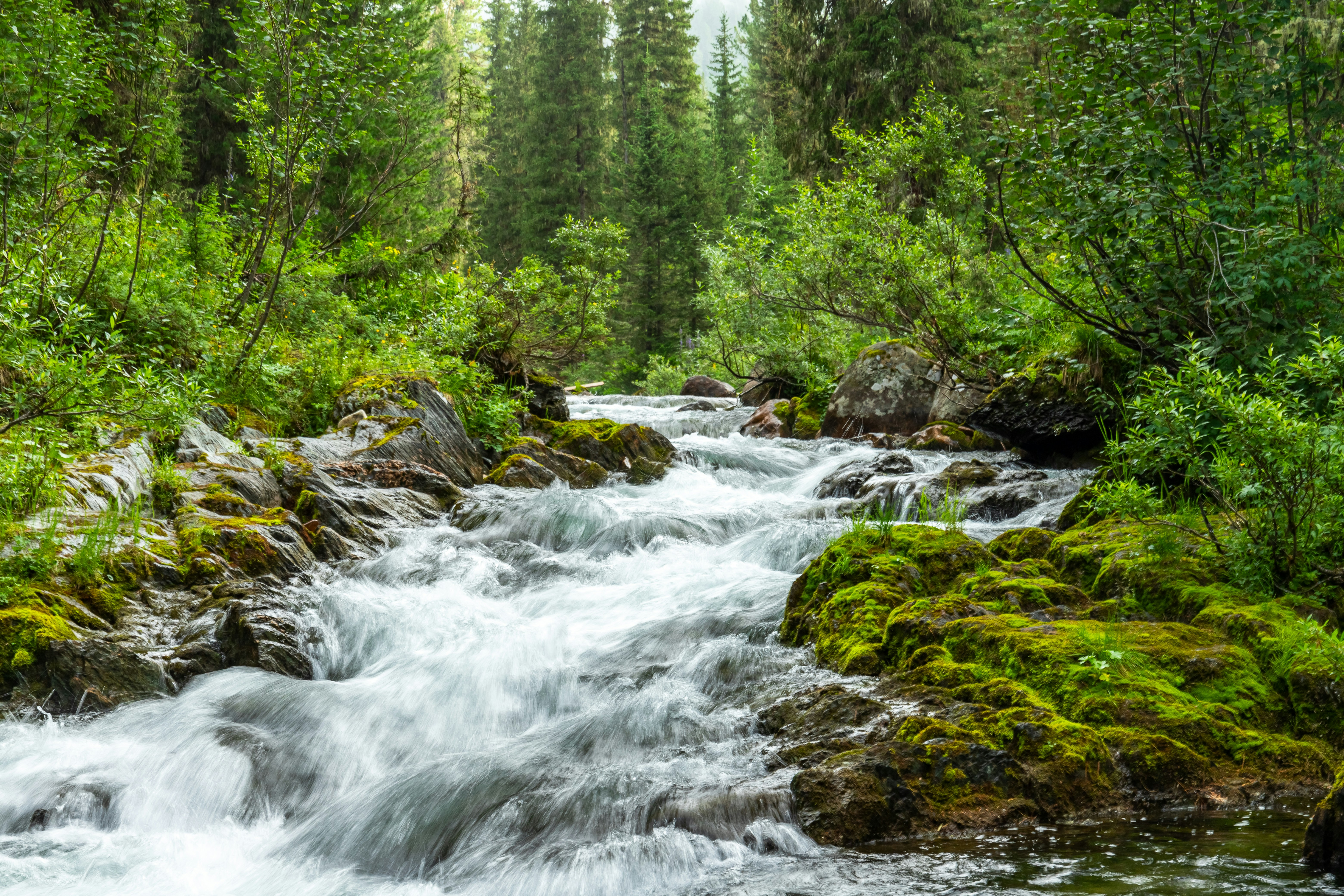 Photo by solomonikvik