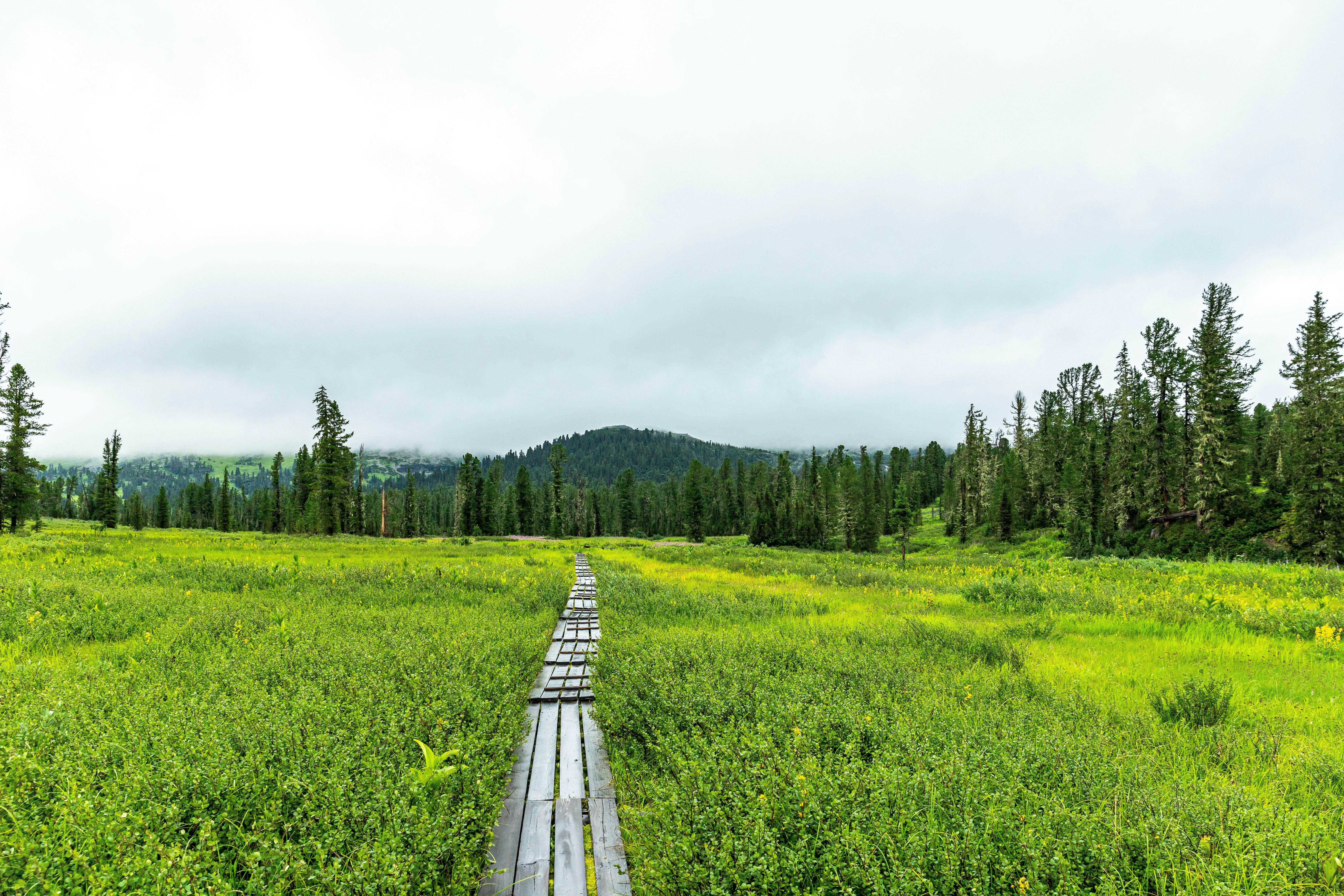 Photo by solomonikvik