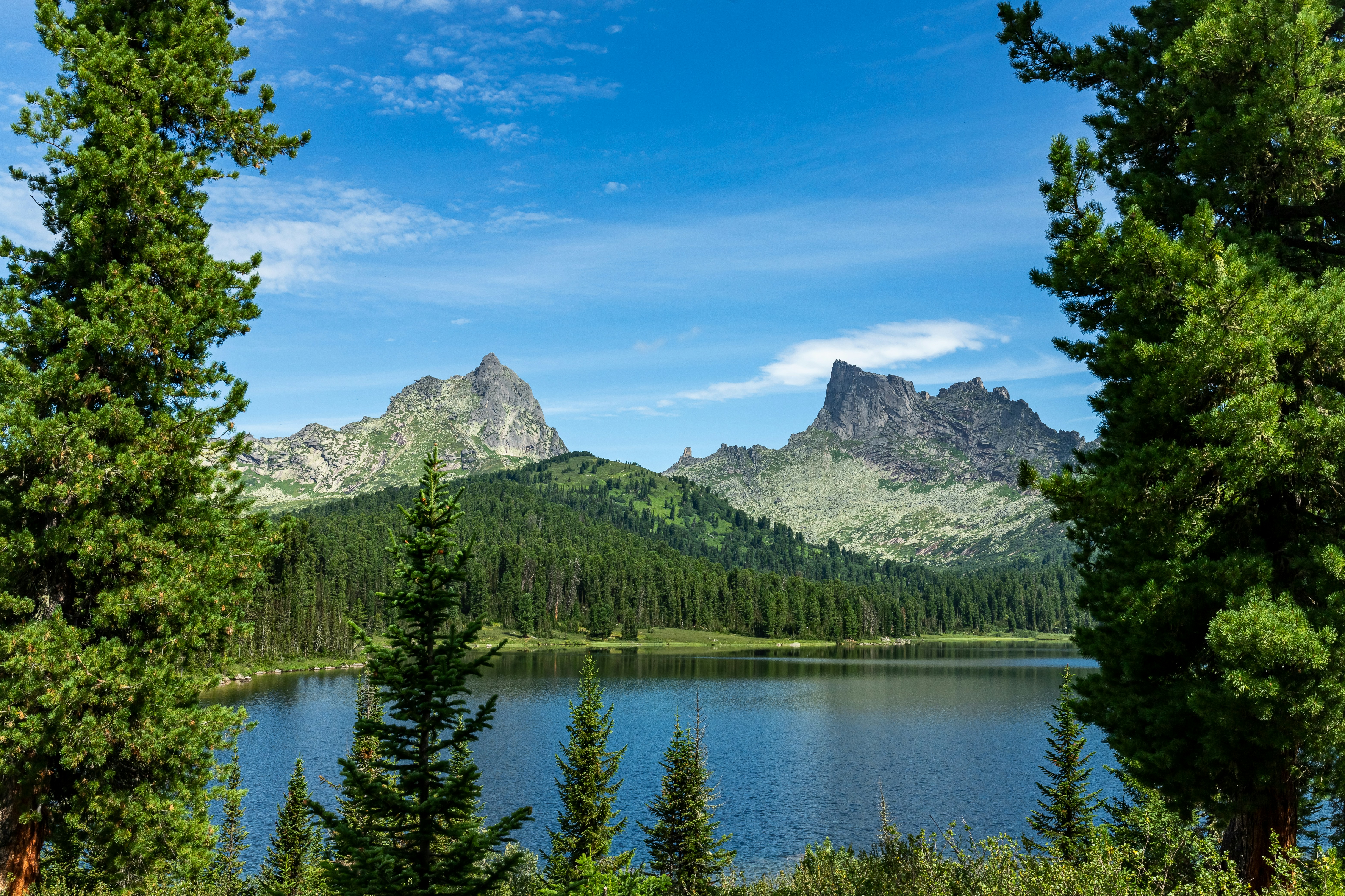 Photo by solomonikvik