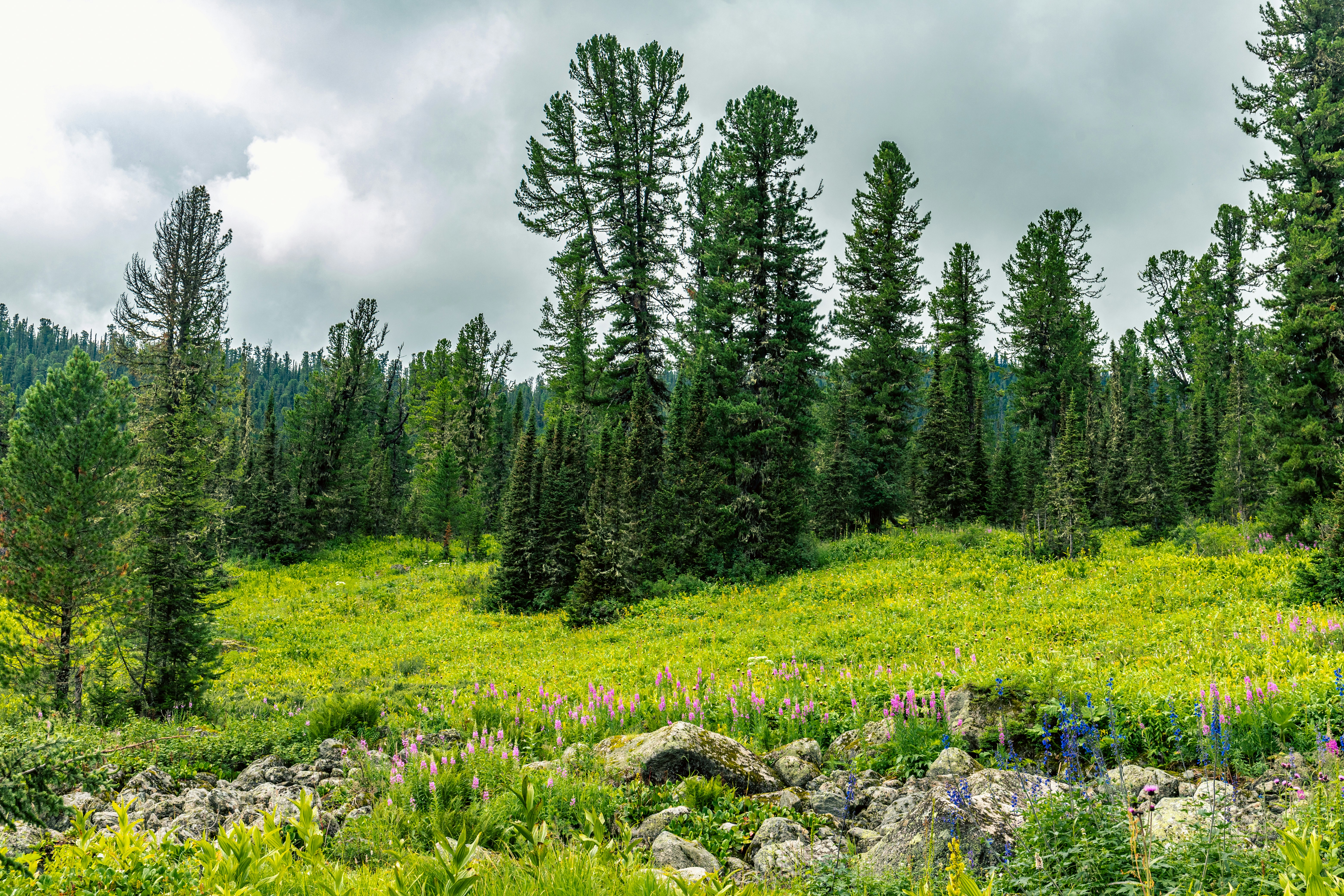 Photo by solomonikvik