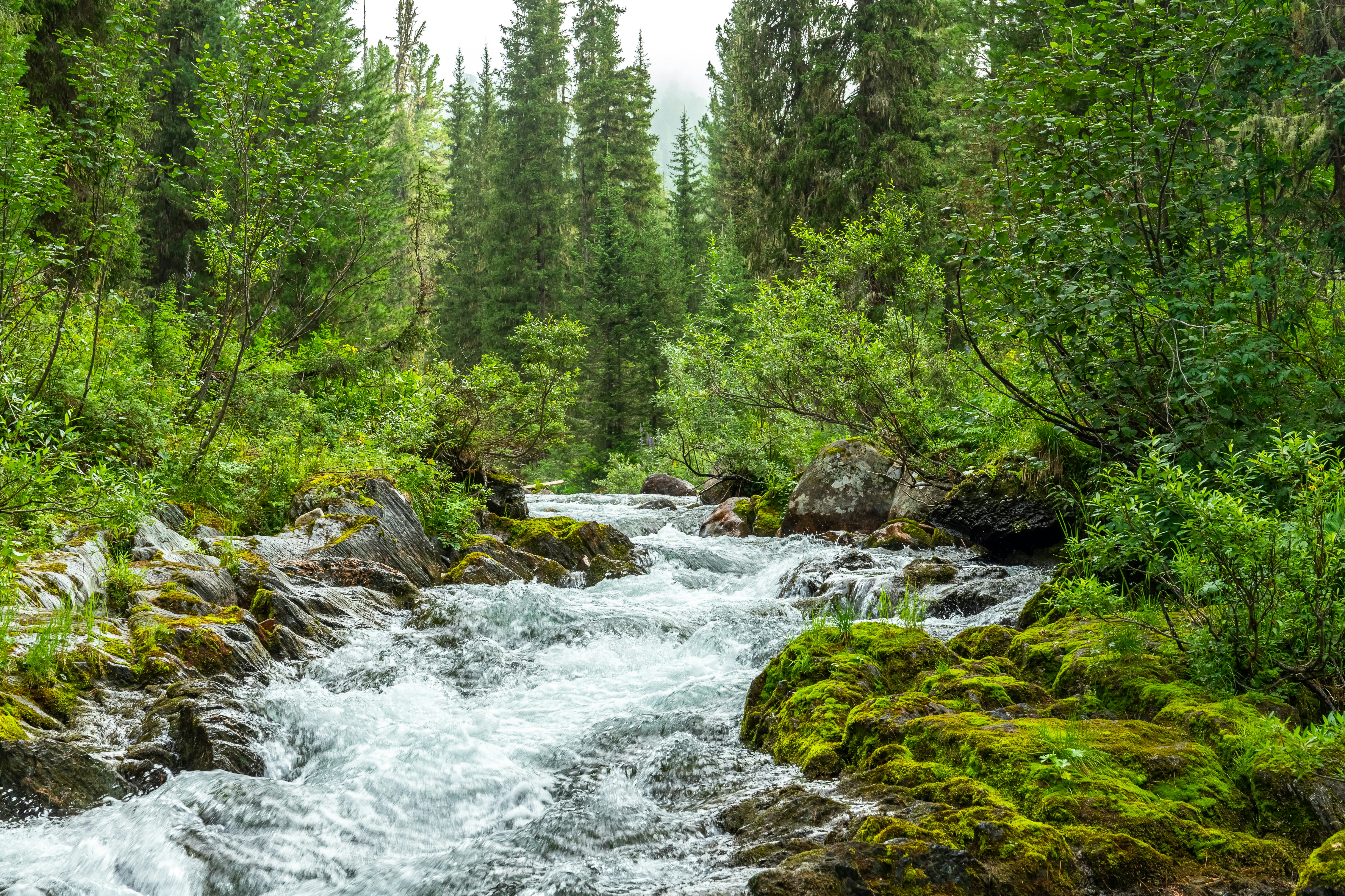 Photo by solomonikvik