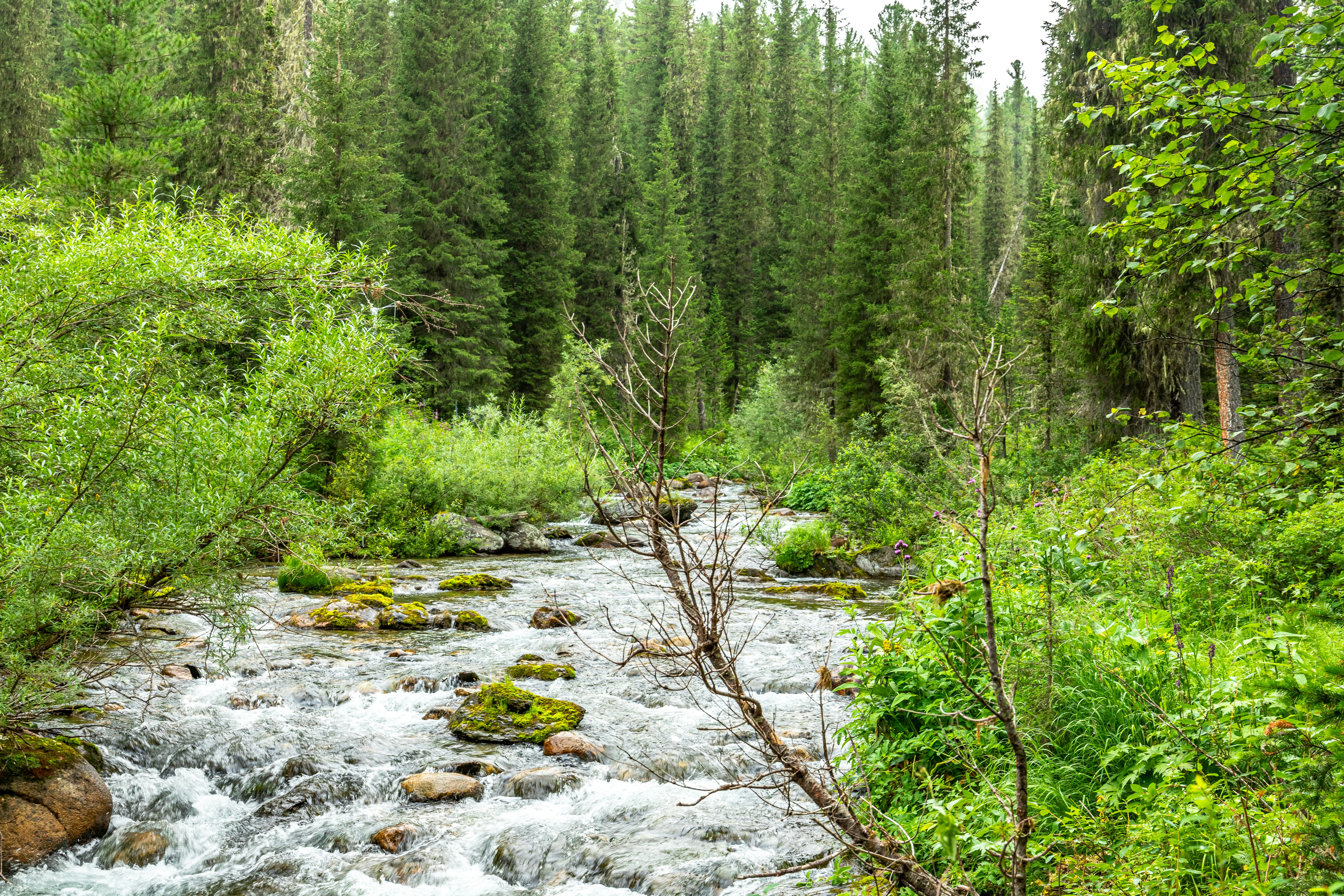 Photo by solomonikvik