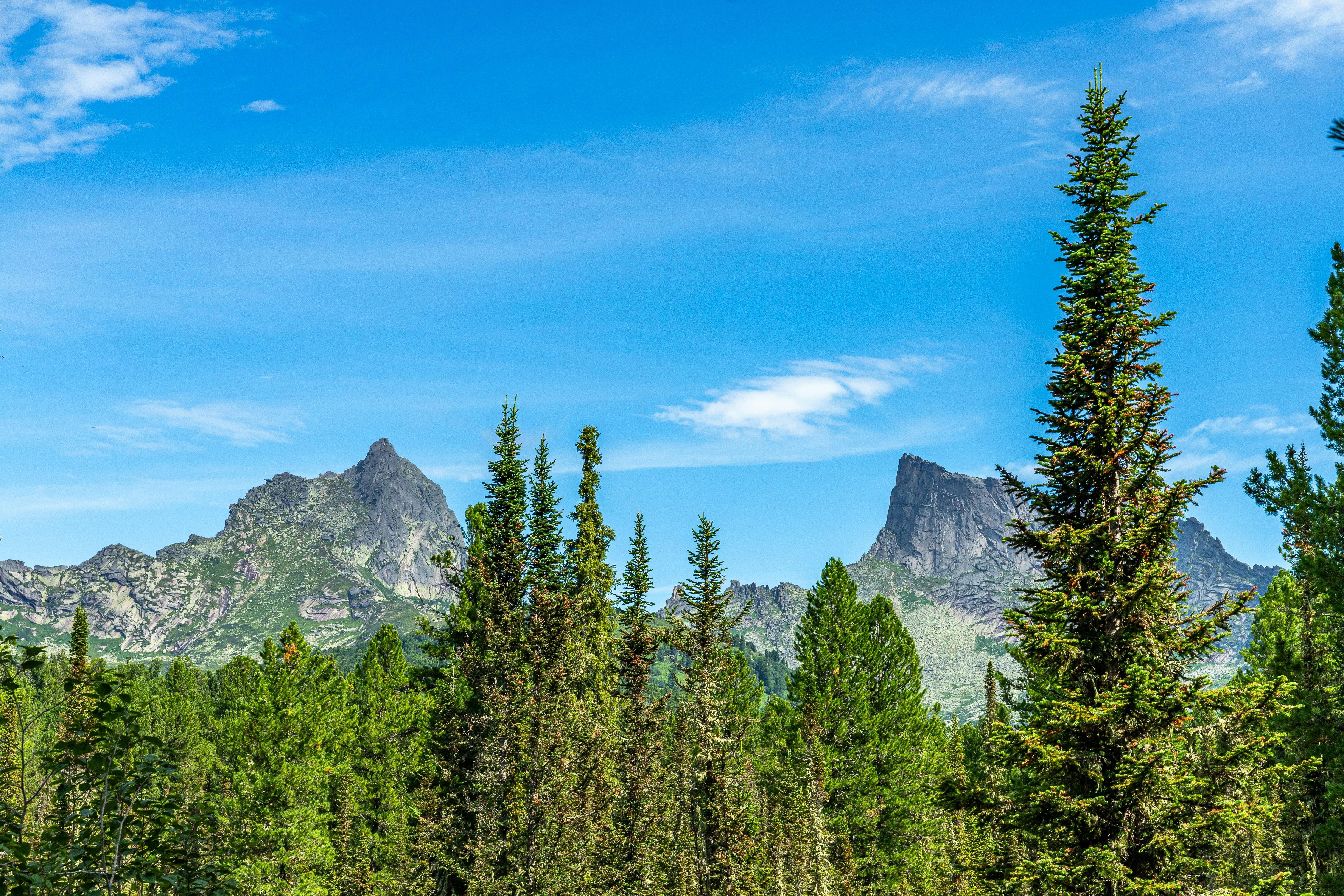 Photo by solomonikvik