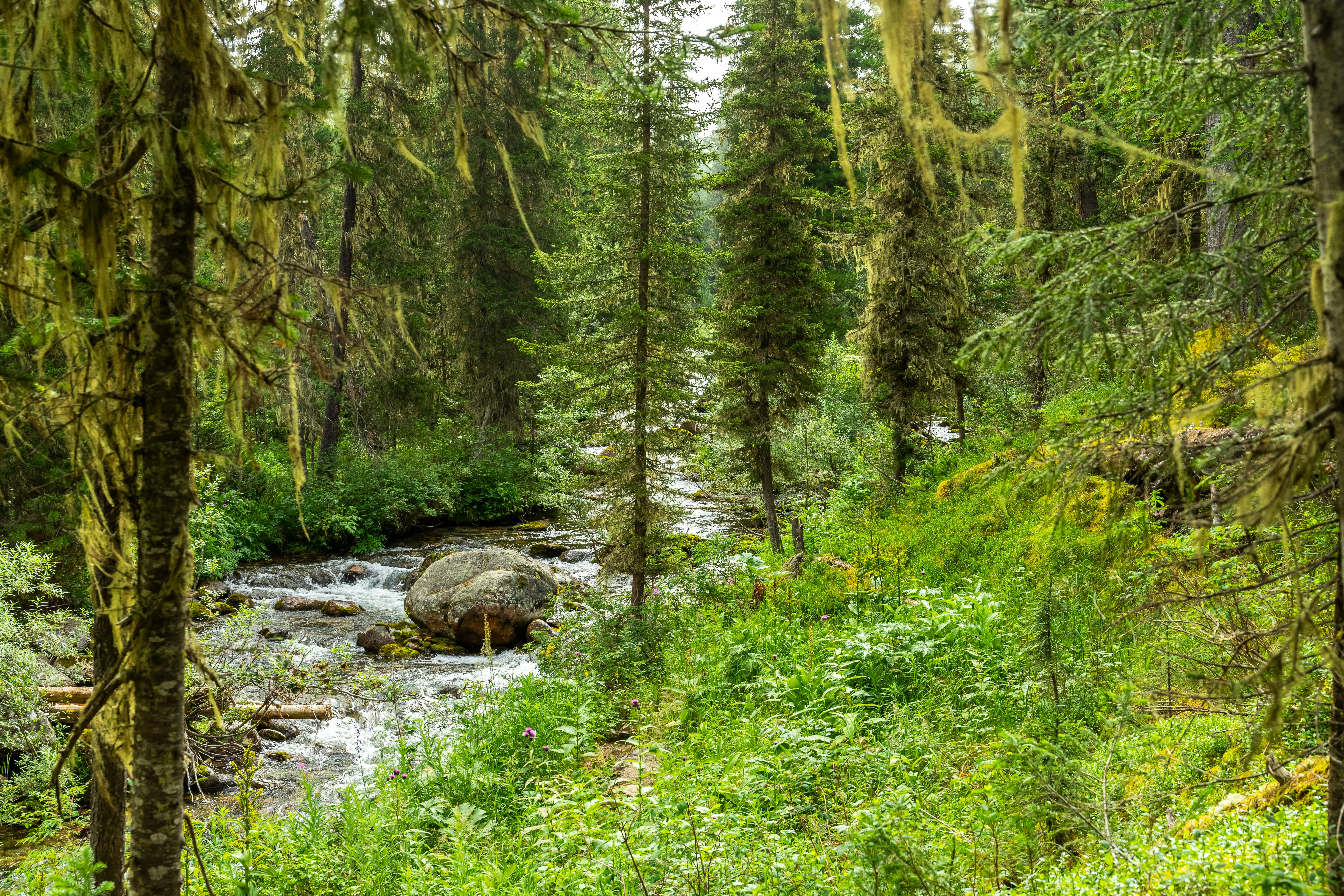 Photo by solomonikvik