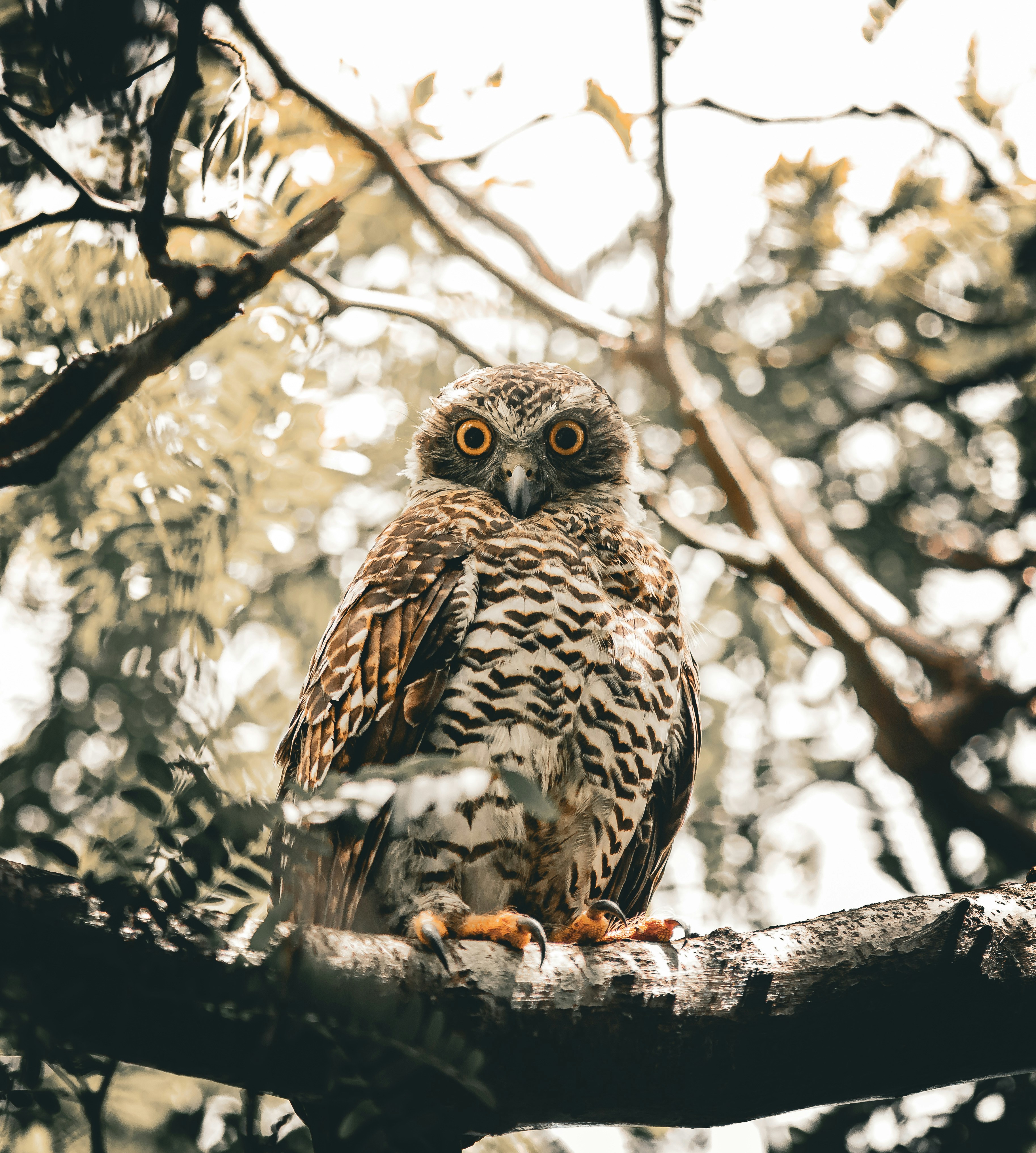 Photo by kyesphotography