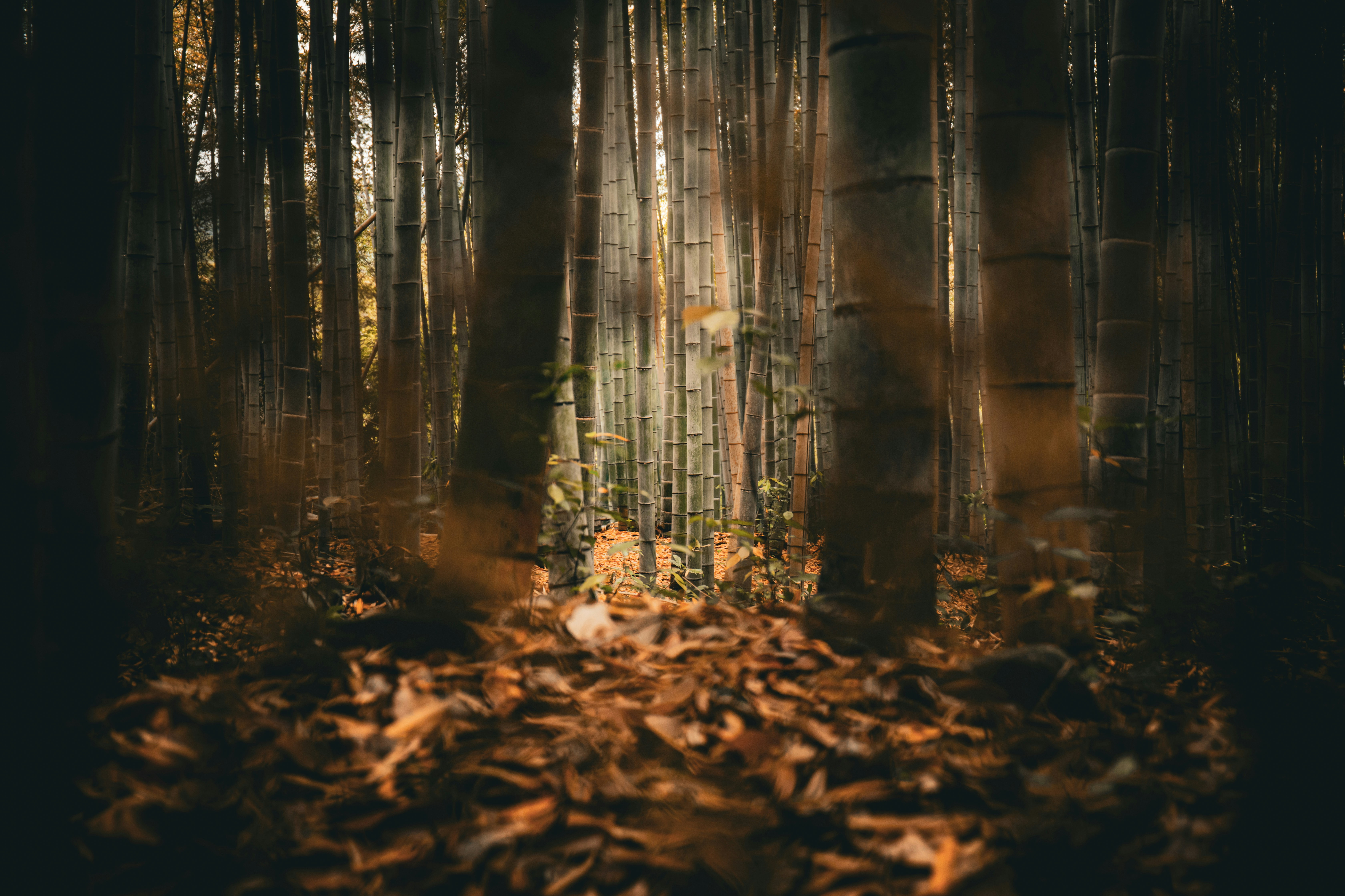 Photo by kyesphotography