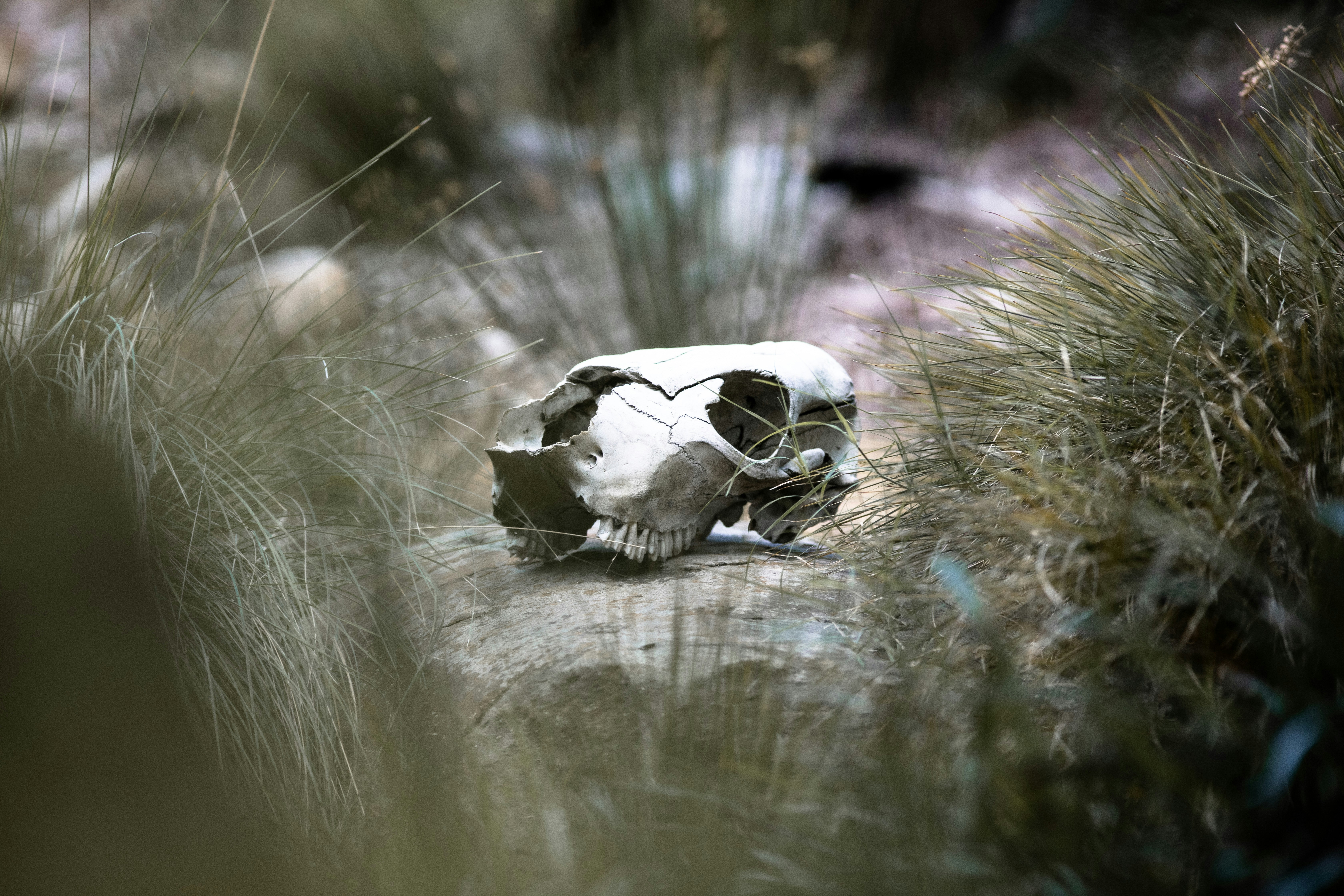 Photo by kyesphotography