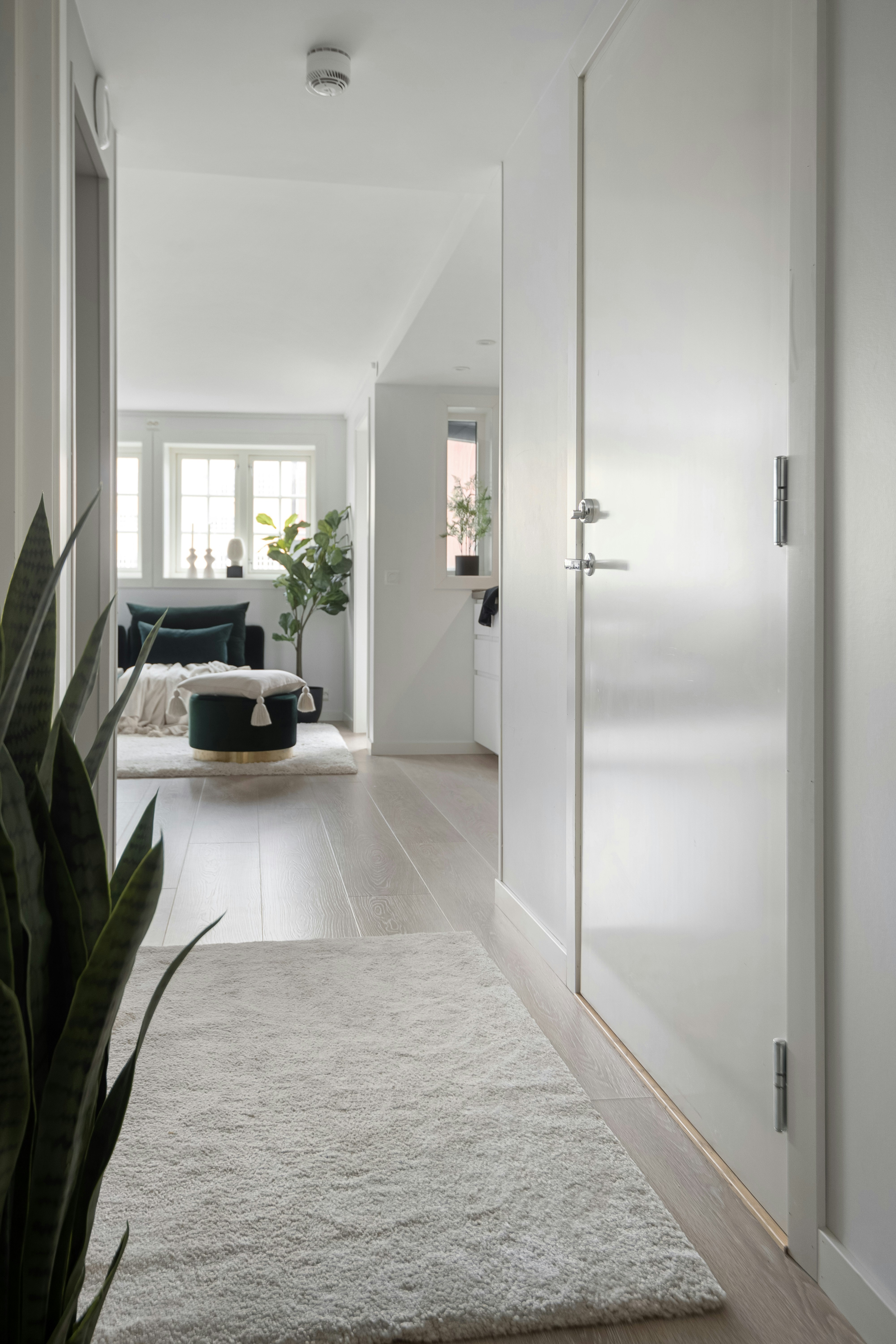 Photo by alextyson195